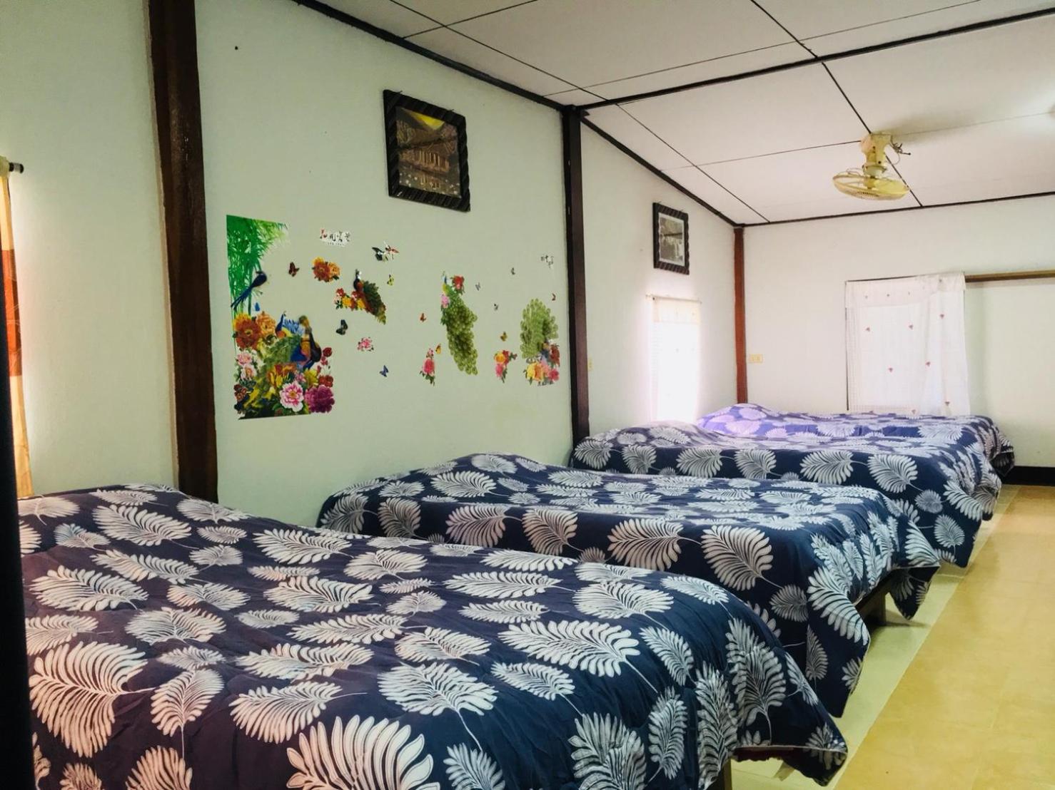 Bed in 6-Bed Mixed Dormitory Room photo 1