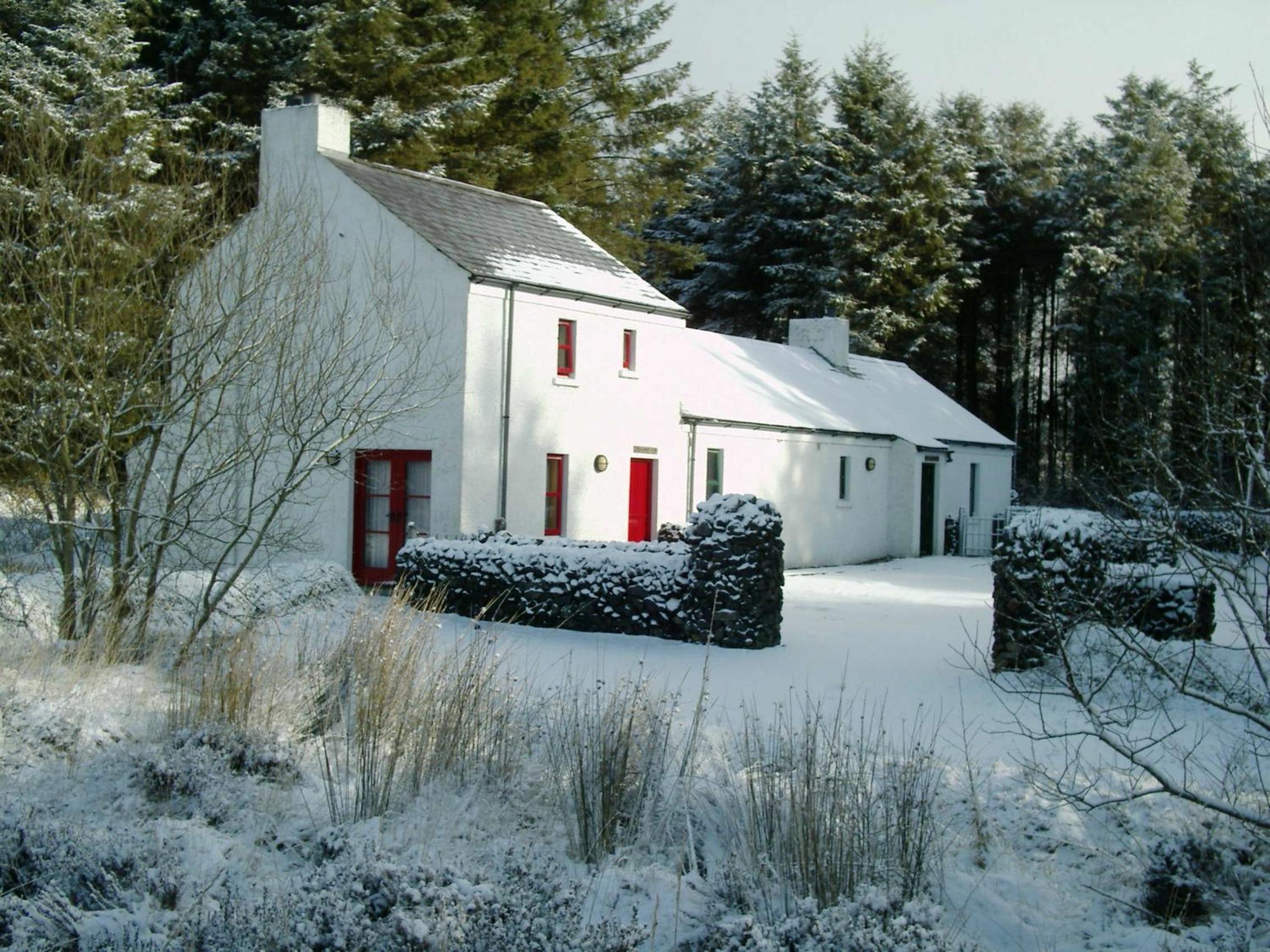 One-Bedroom Cottage photo 3