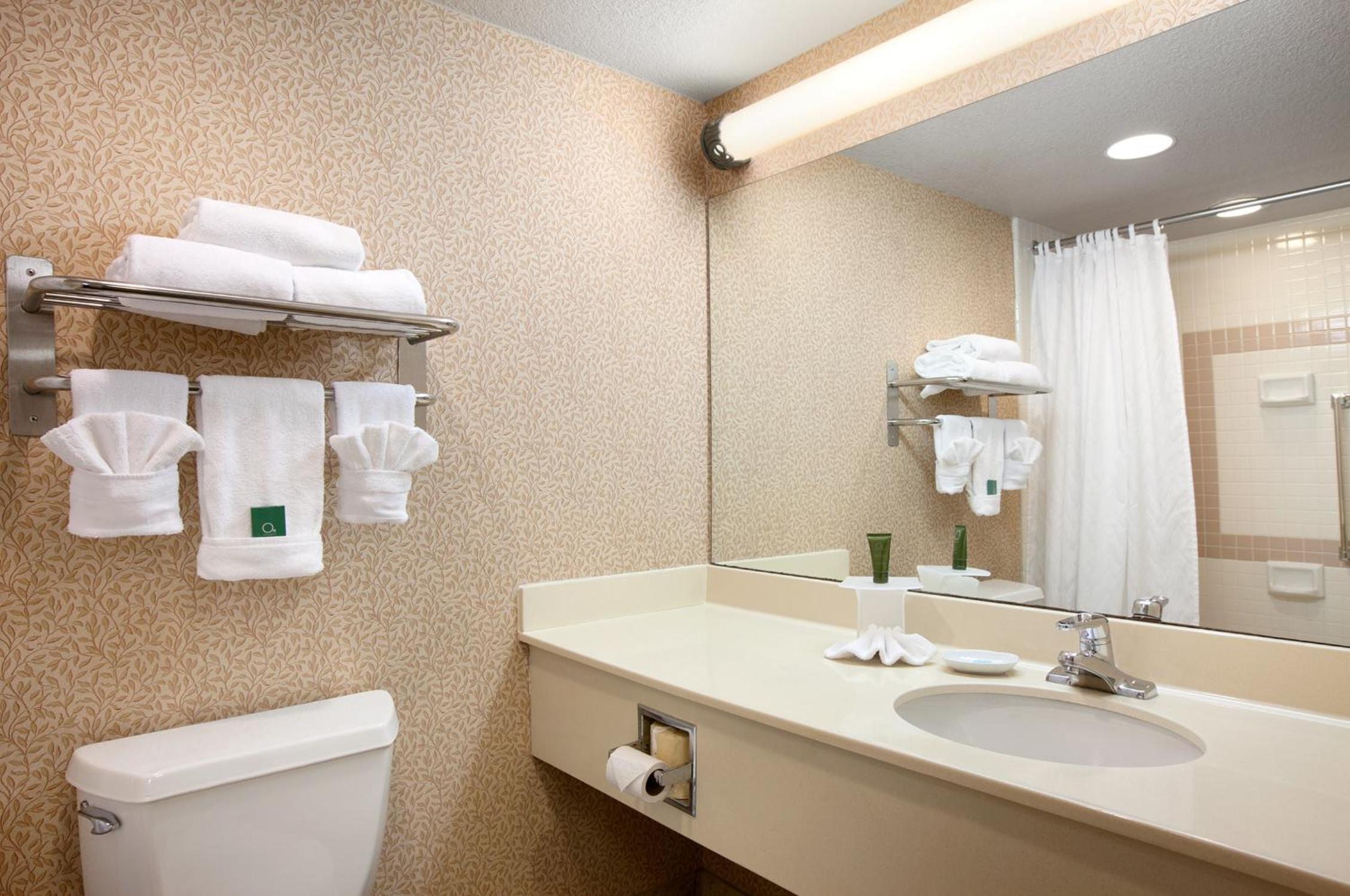 Junior King Suite with Sofa Bed photo 3