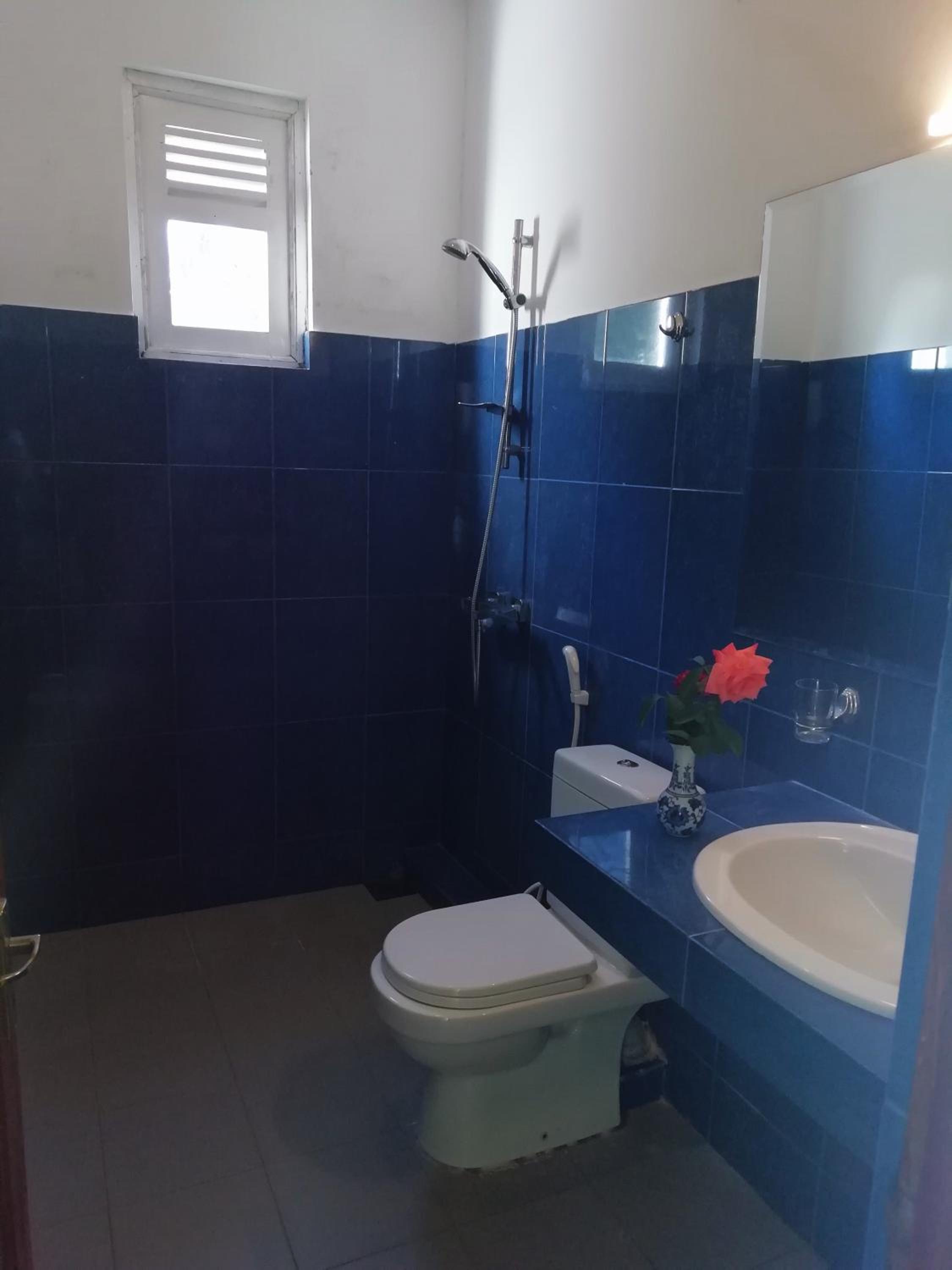 Large Double Room photo 2
