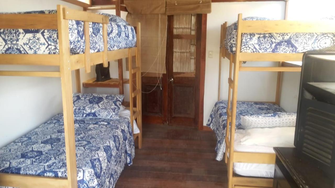 Bed in 4-Bed Dormitory Room