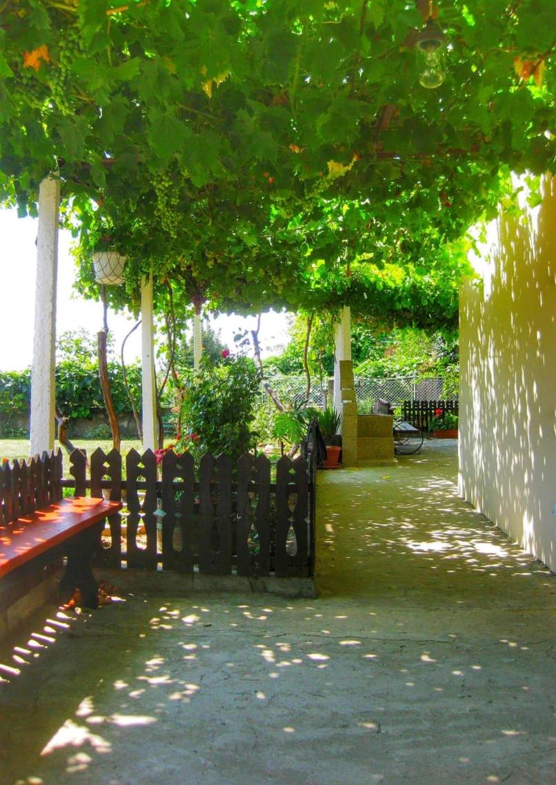 Triple Room with Terrace photo 2
