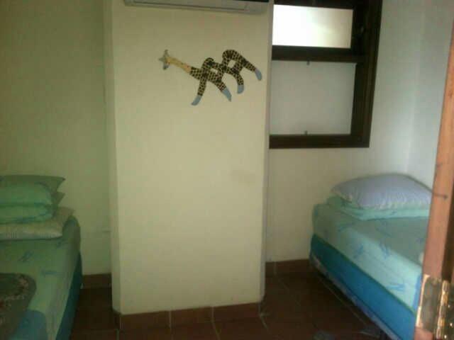 Apartment with Sea View photo 3
