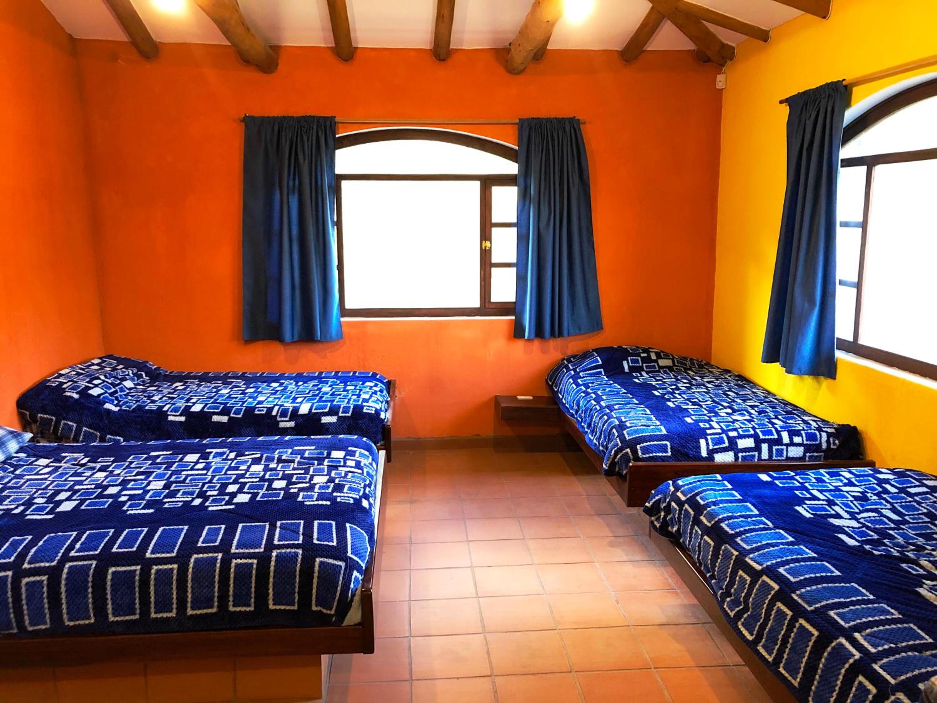 Single Bed In Mixed Dormitory Room photo 1