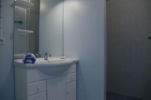 Apartment with Shower photo 2