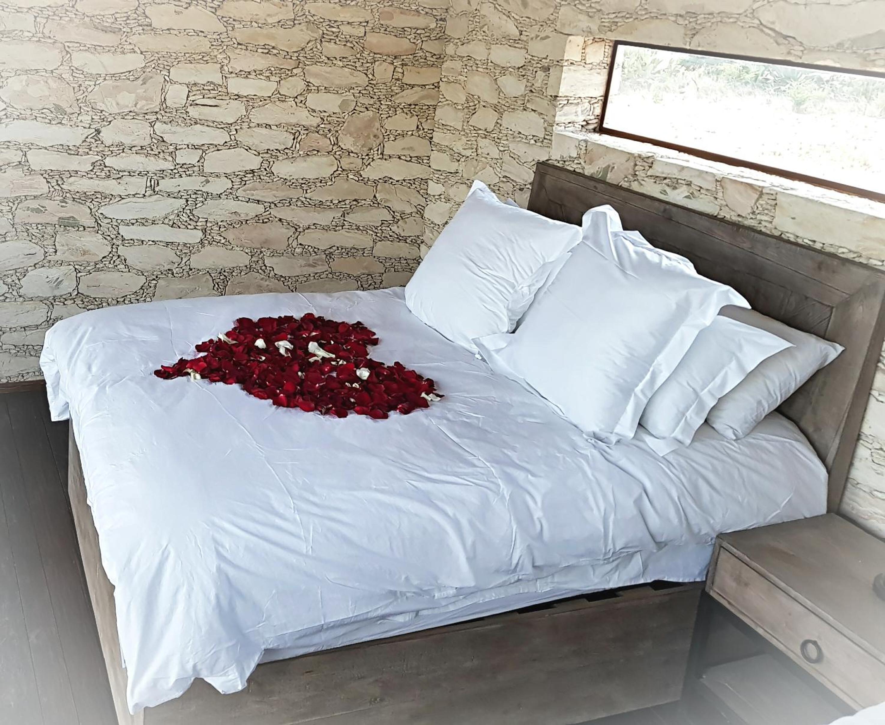 Suite with Lake View - Photo 1
