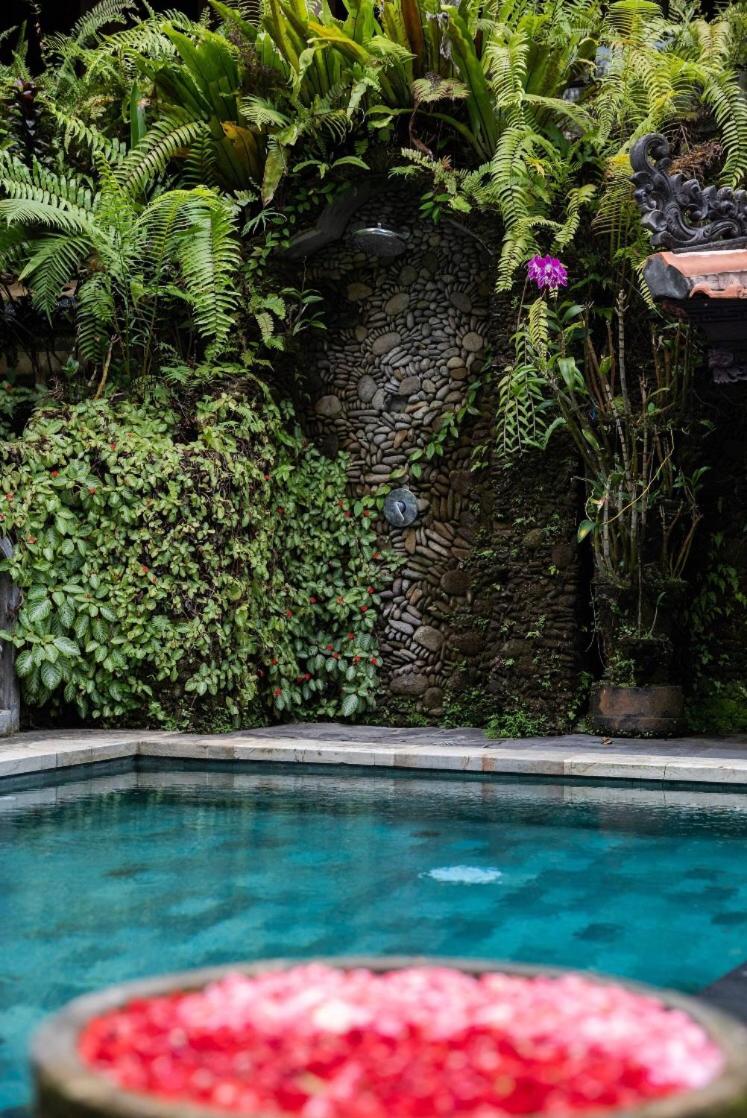 One-Bedroom Villa with Jungle View - Photo 42