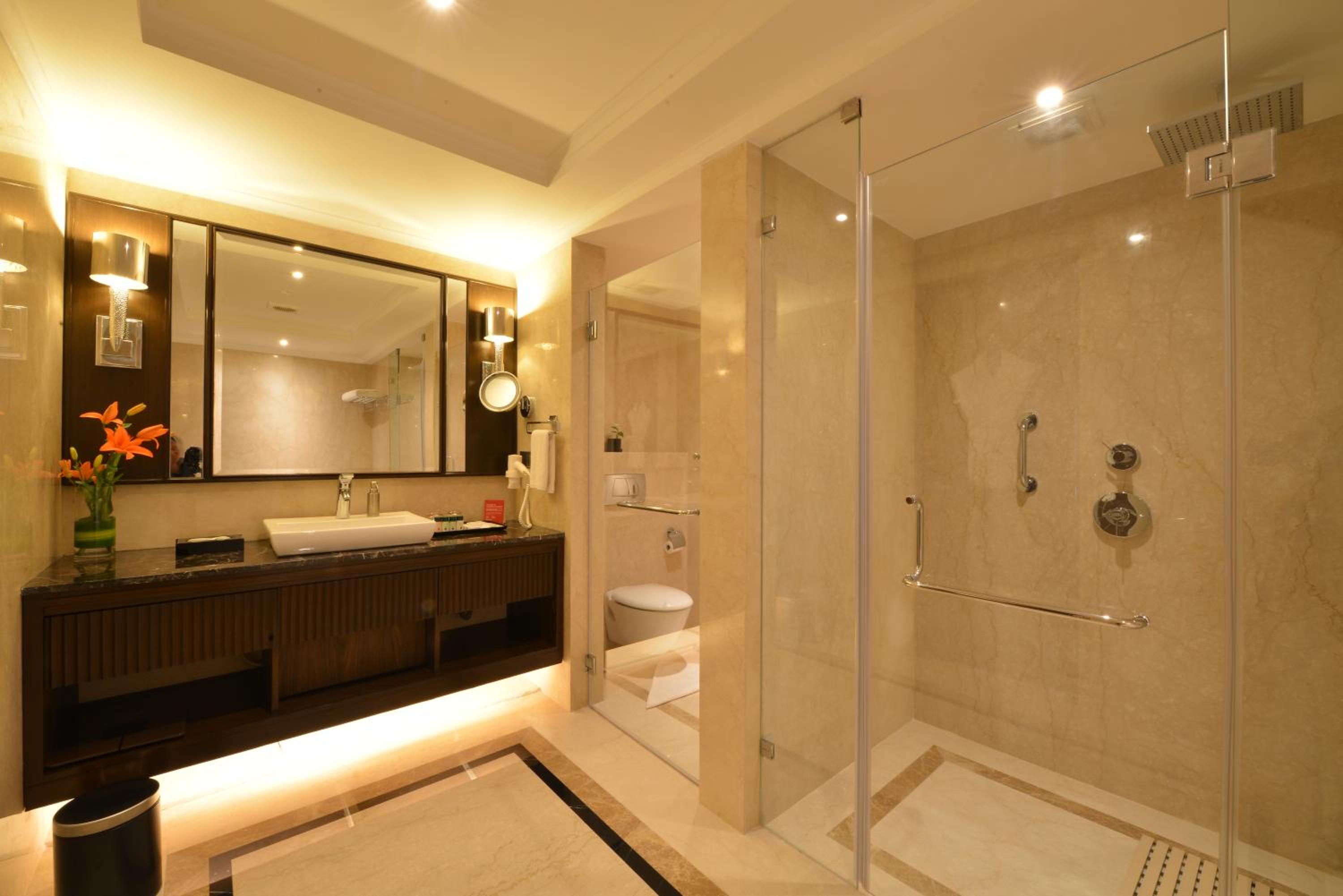 Deluxe King Suite (Non-Smoking)