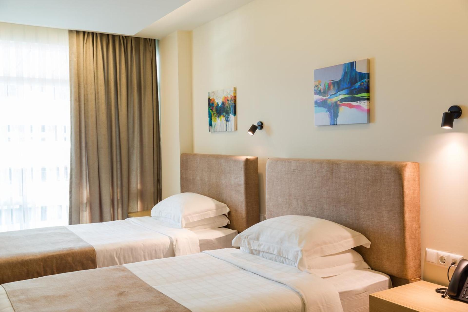 Twin Room with Balcony and Mountain View photo 3