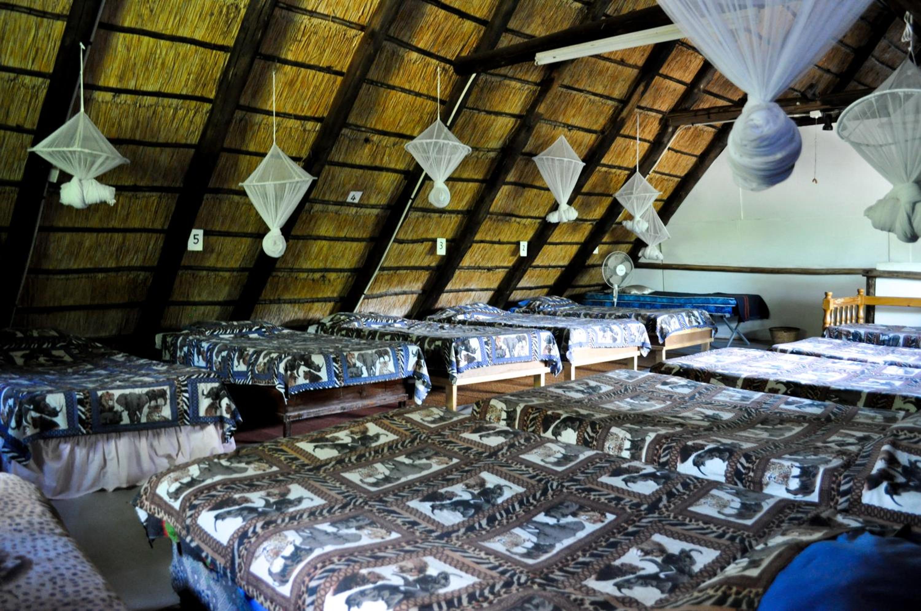 Single Bed in Mixed Dormitory Room photo 3
