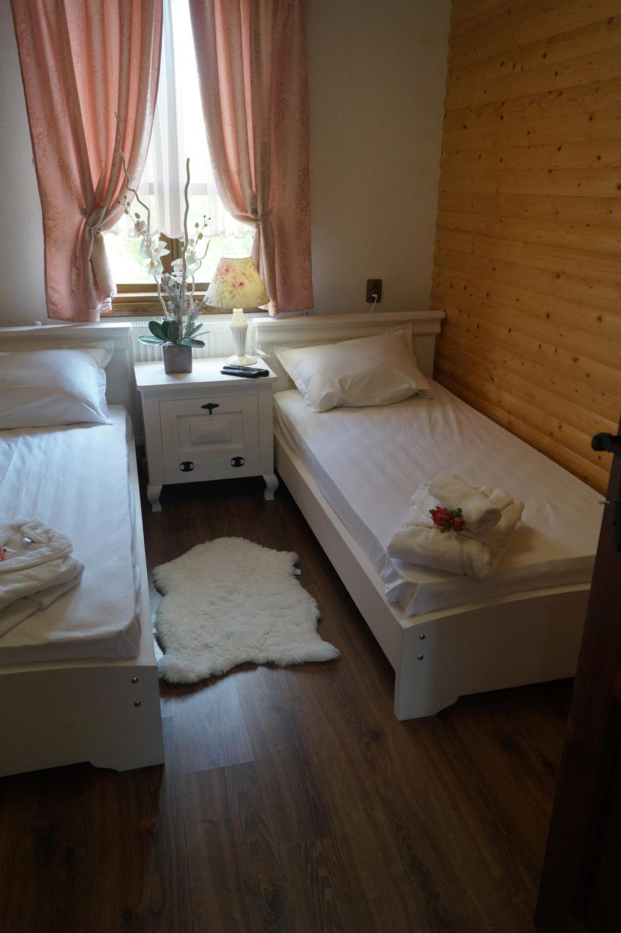 Deluxe Twin Room photo 3