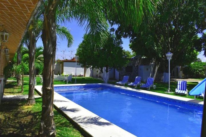Queen Room with Pool View - Photo 8