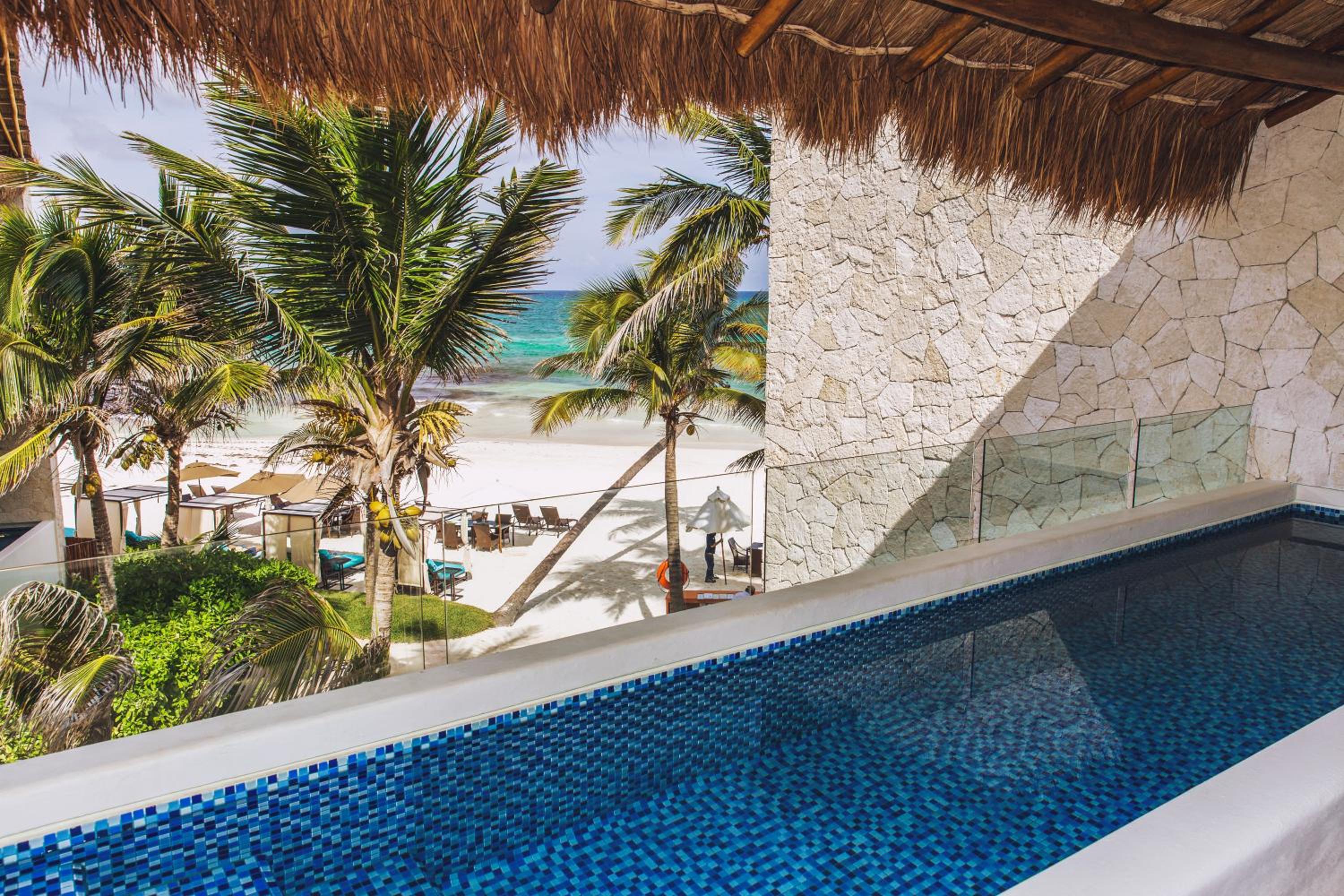 Suite Ocean View