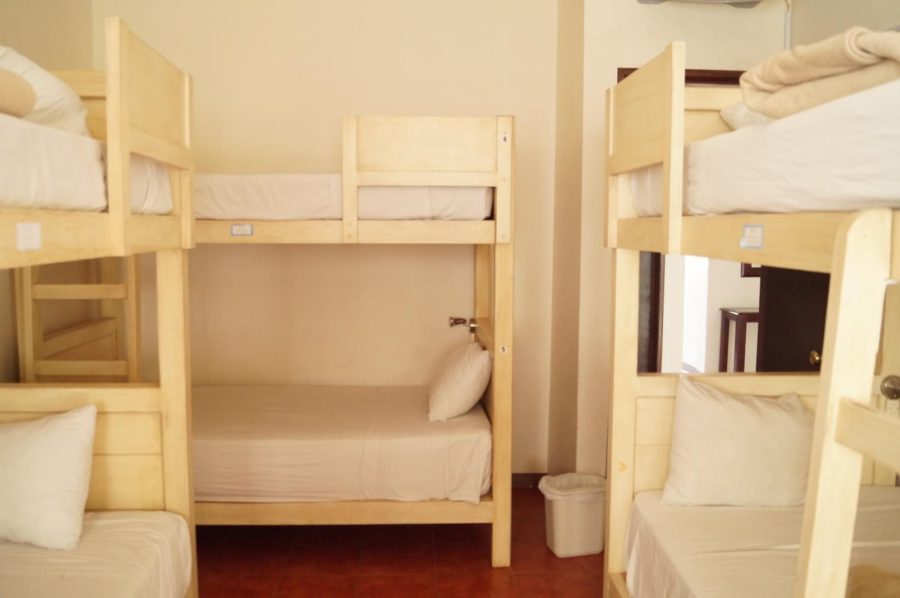 Bunk Bed in Female Dormitory Room  