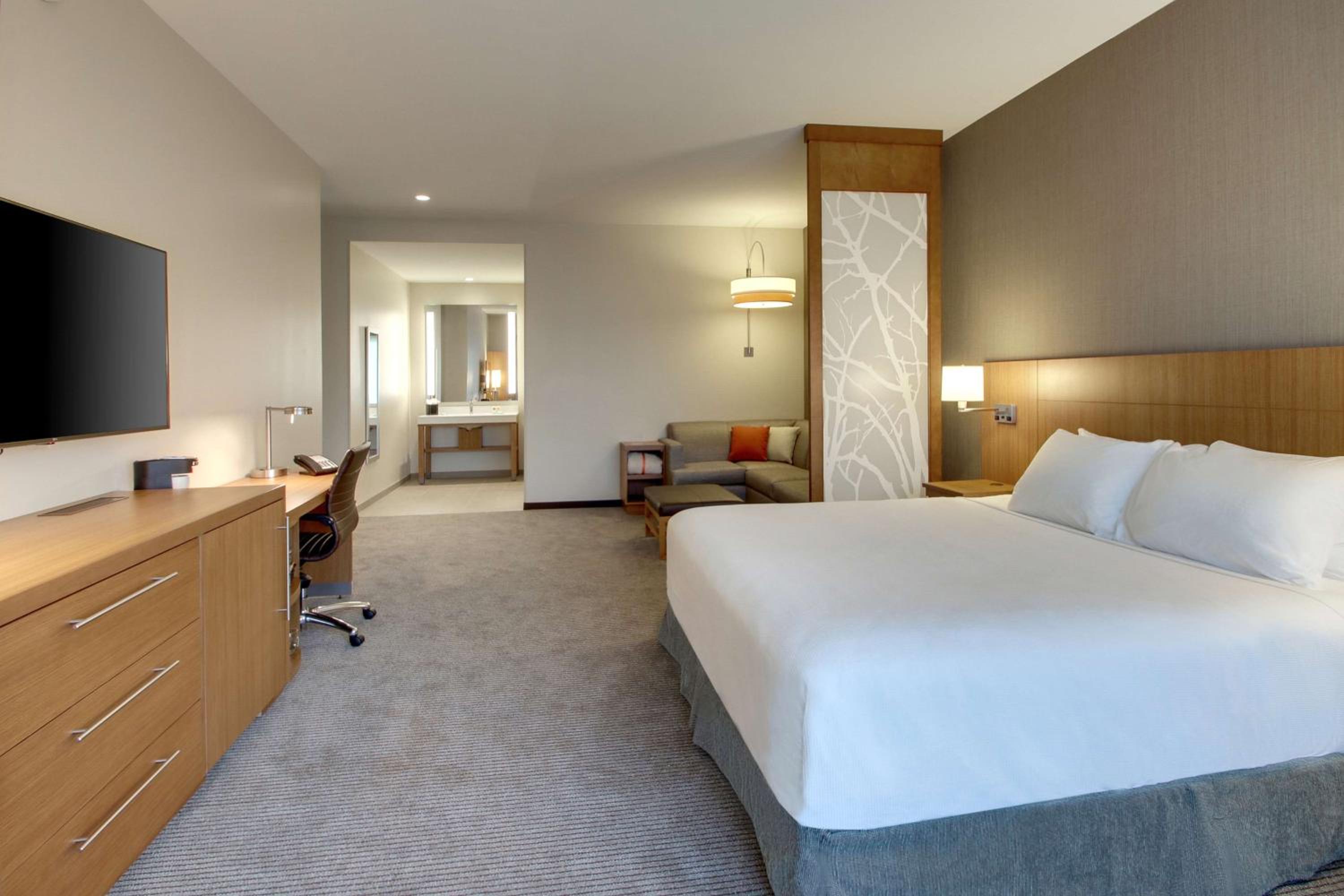 Accessible Room with  King Bed / Roll-In Shower and Sofa Bed photo 2