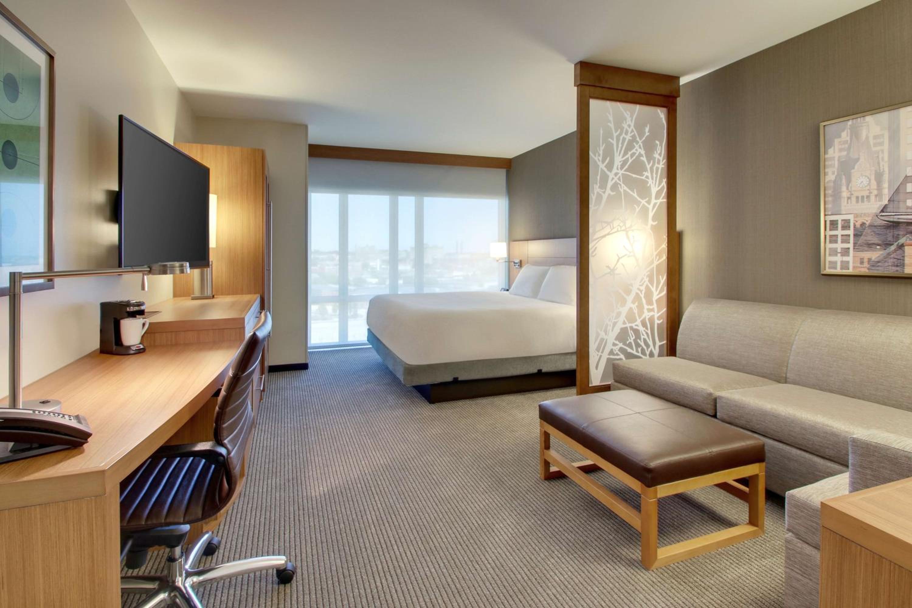 King Room with Sofa Bed and Roll-In Shower - Disability Access photo 3