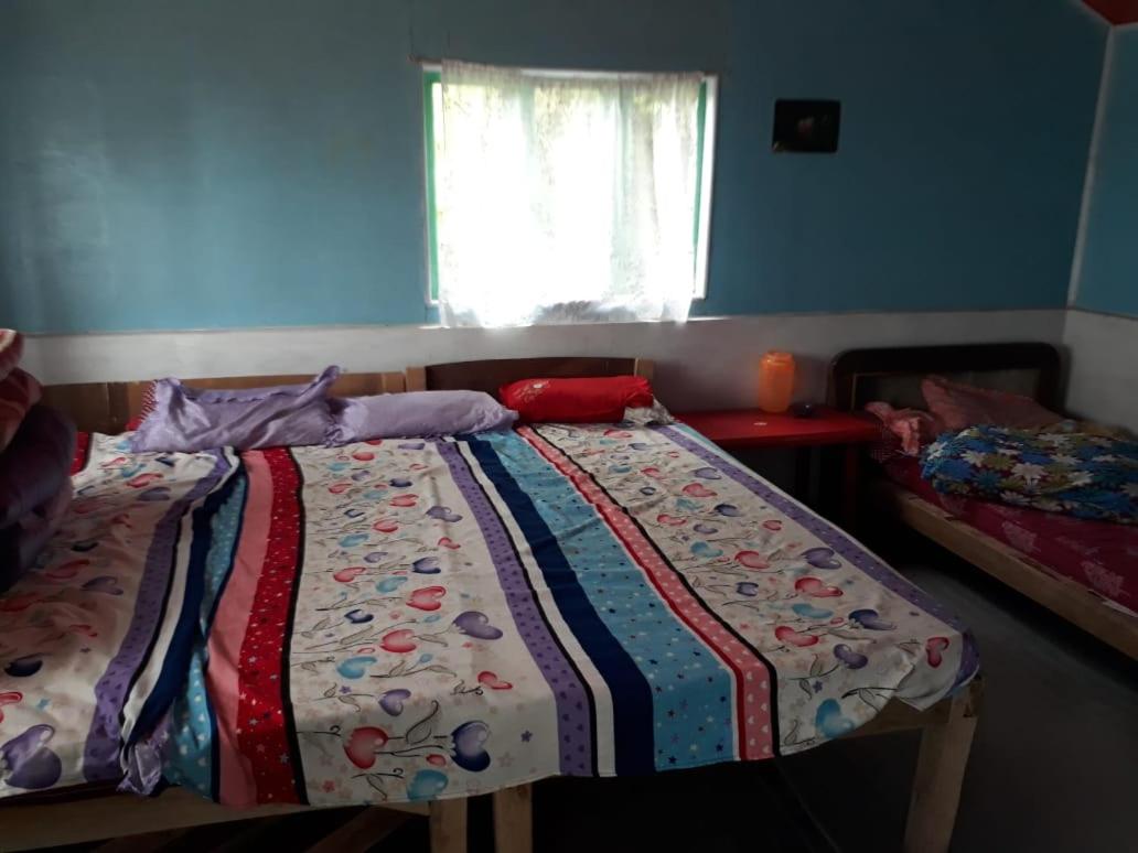 Triple Room photo 1