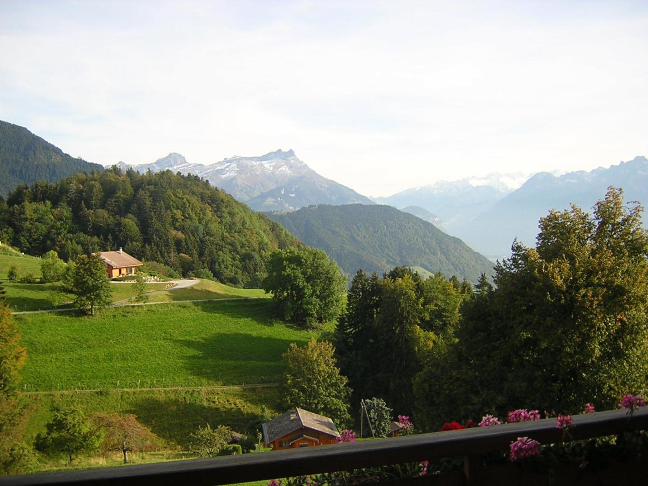 Apartment - Split Level photo 3