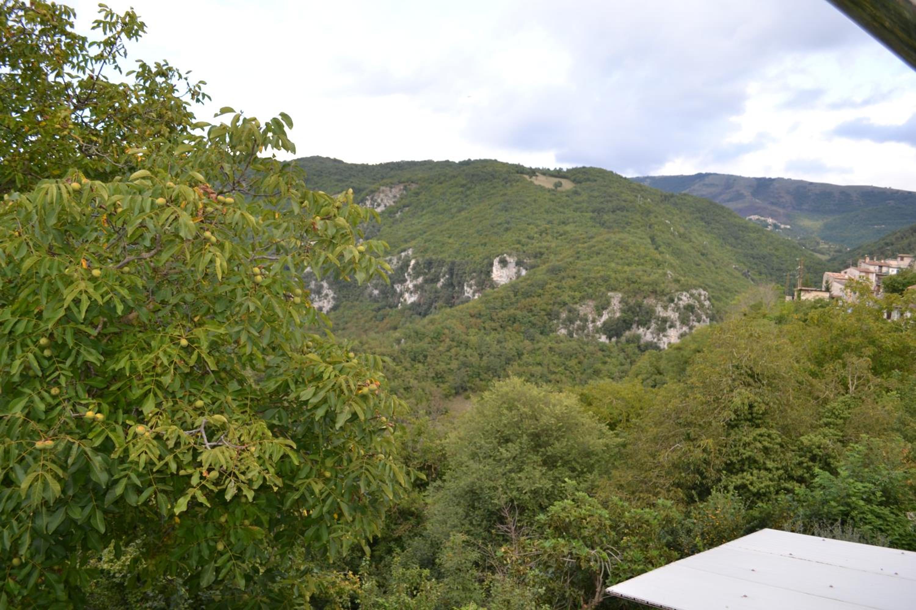 King Room with Mountain View photo 2