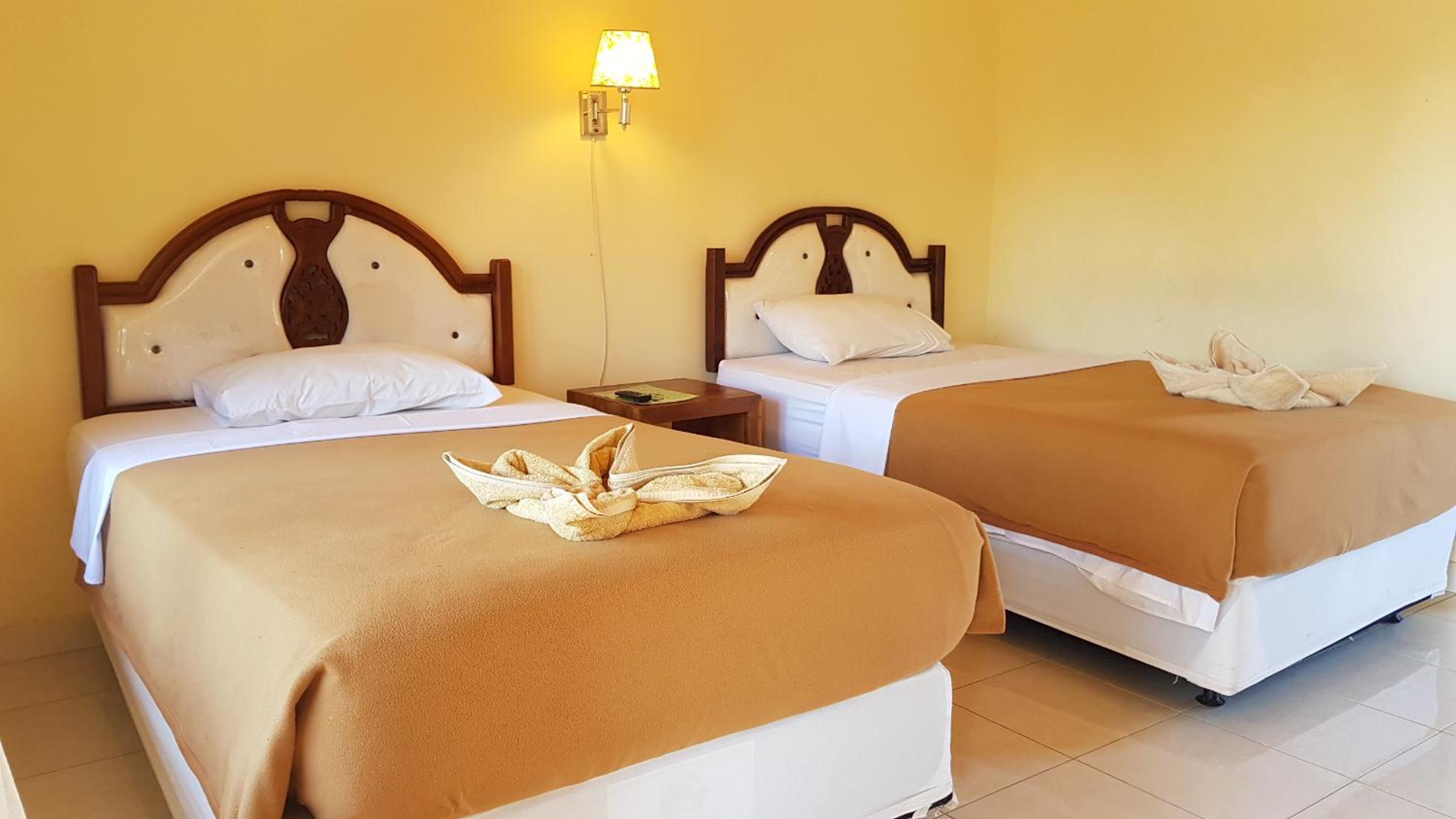 Deluxe Twin Room - Photo 3