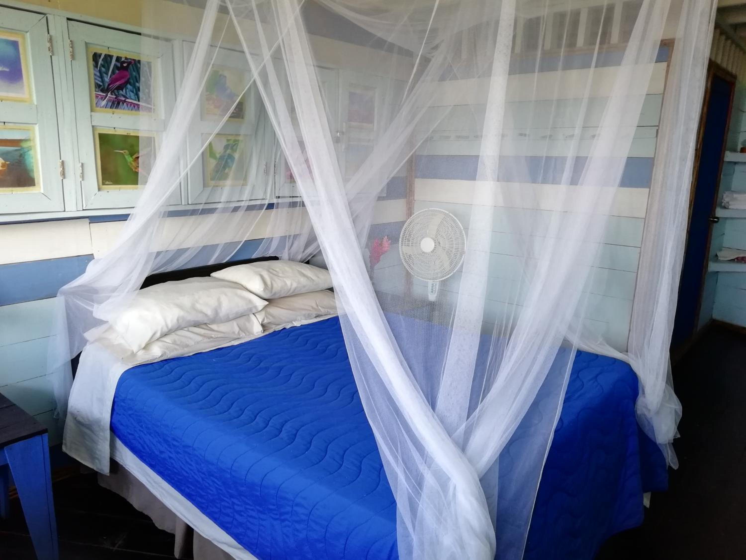 Double Room with Sea View photo 1