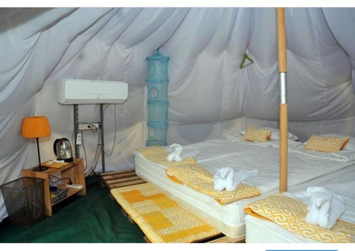 Tent - Photo 7