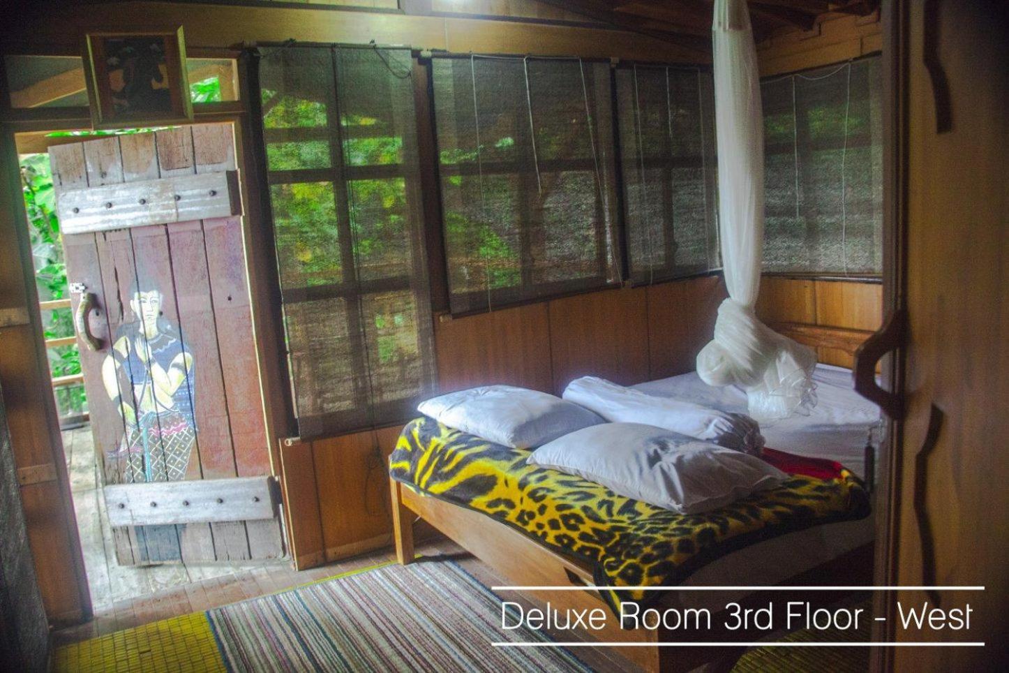 Deluxe Room - Photo 3