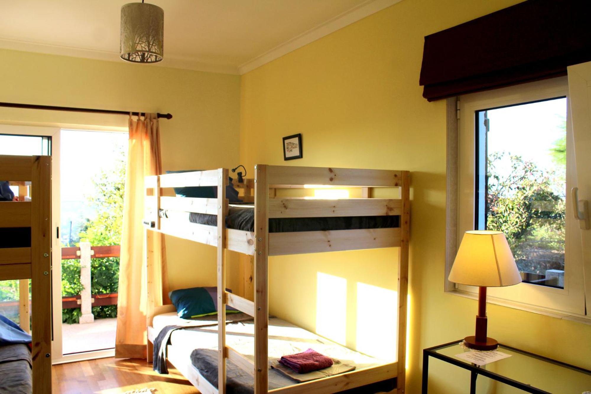 Bunk Bed in Mixed Dormitory Room