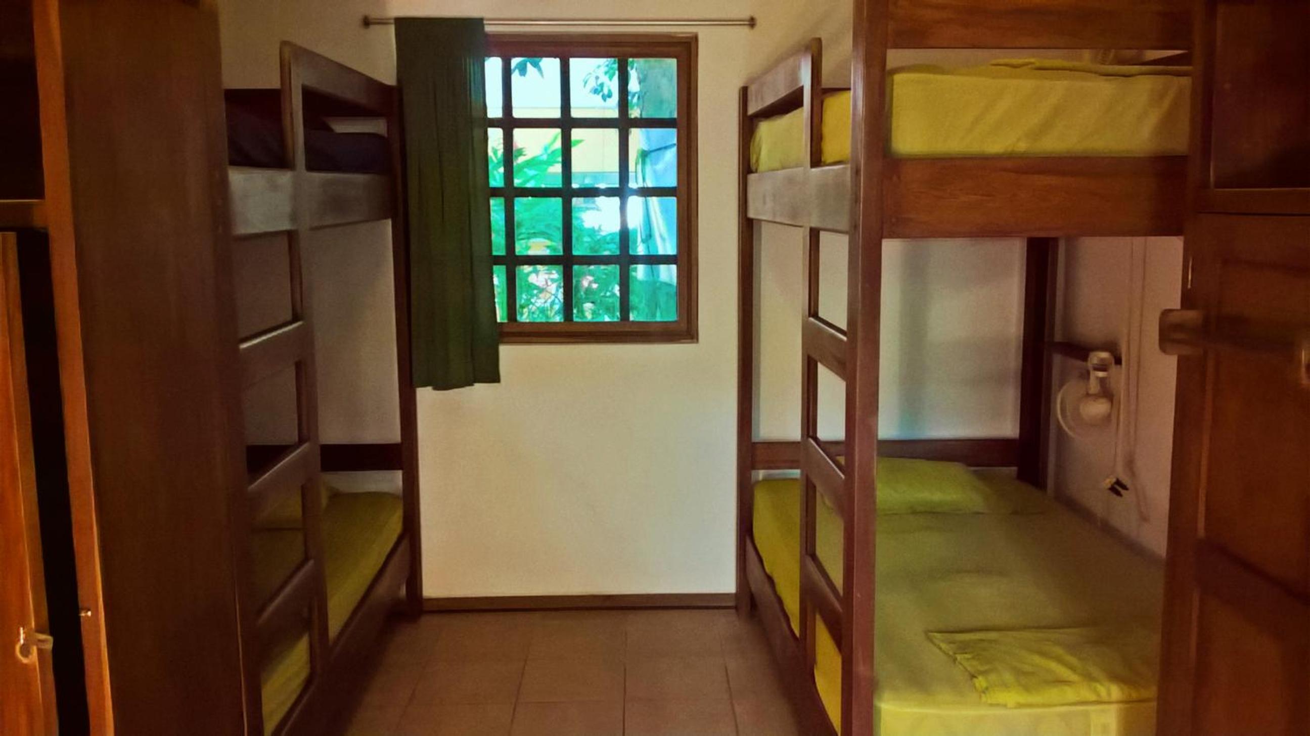 Single Bed in 6-Bed Dormitory Room without A/C photo 3