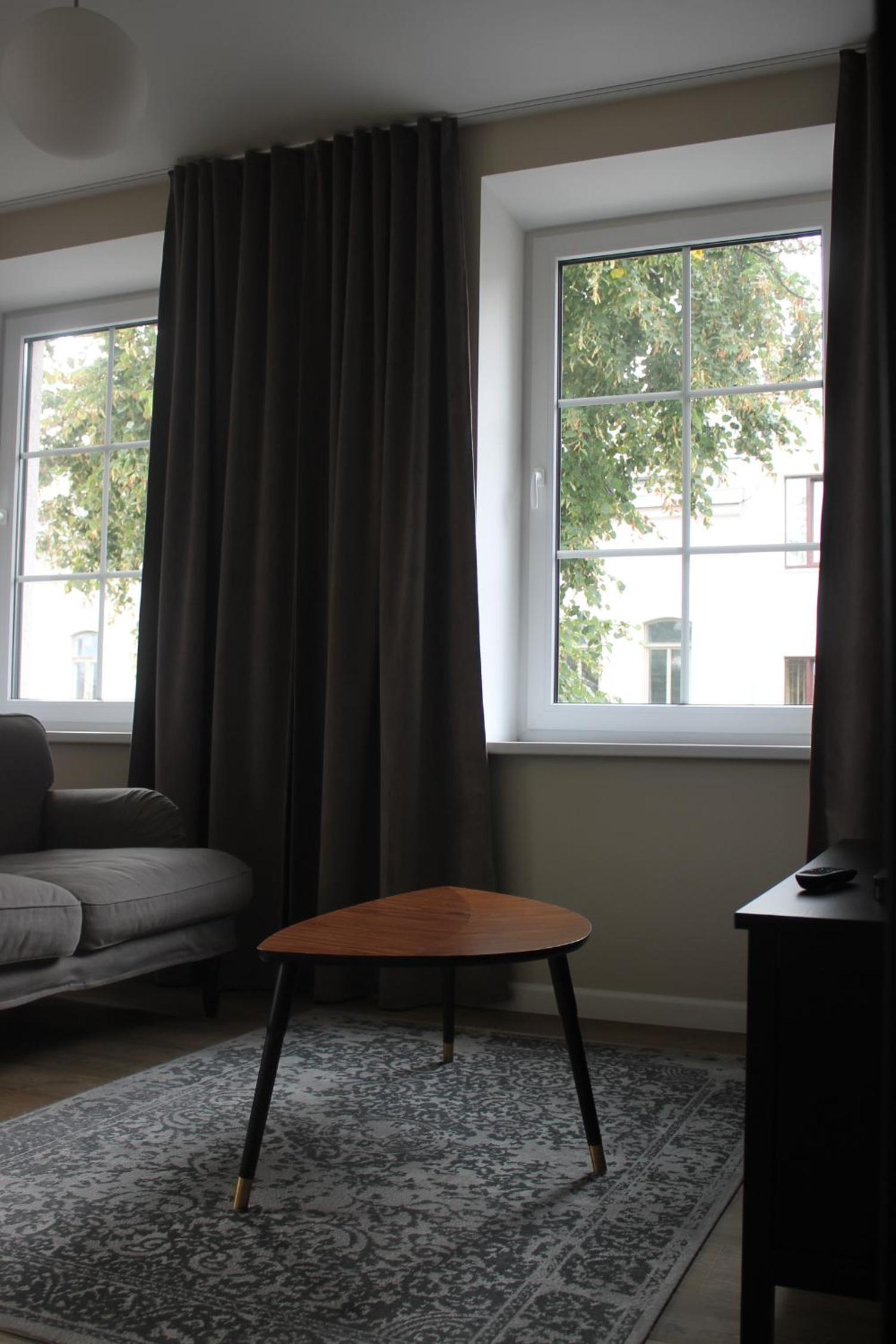Deluxe Apartment with Laisves avenue view - Photo 5