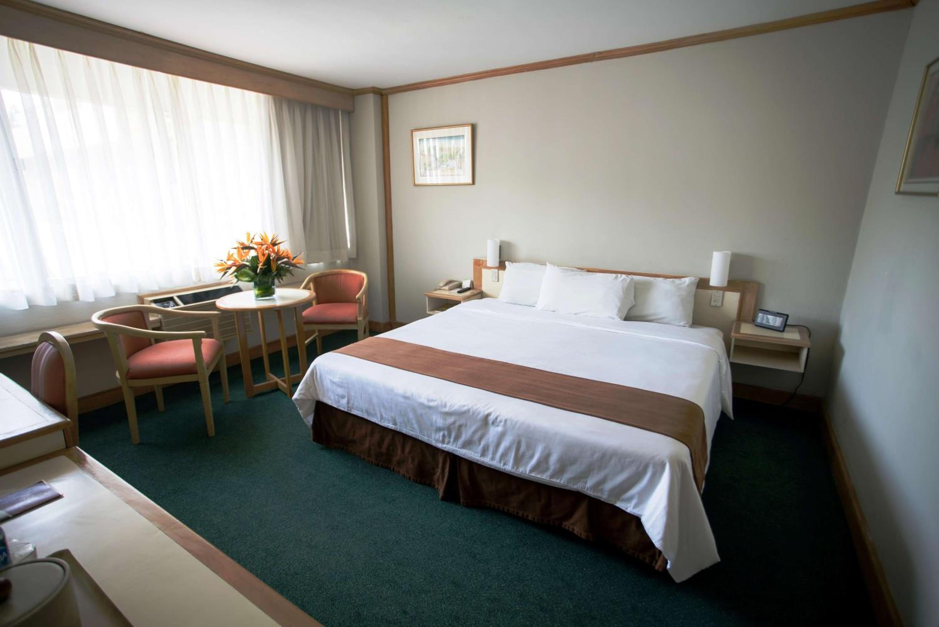 King Room - Non-Smoking - Photo 1