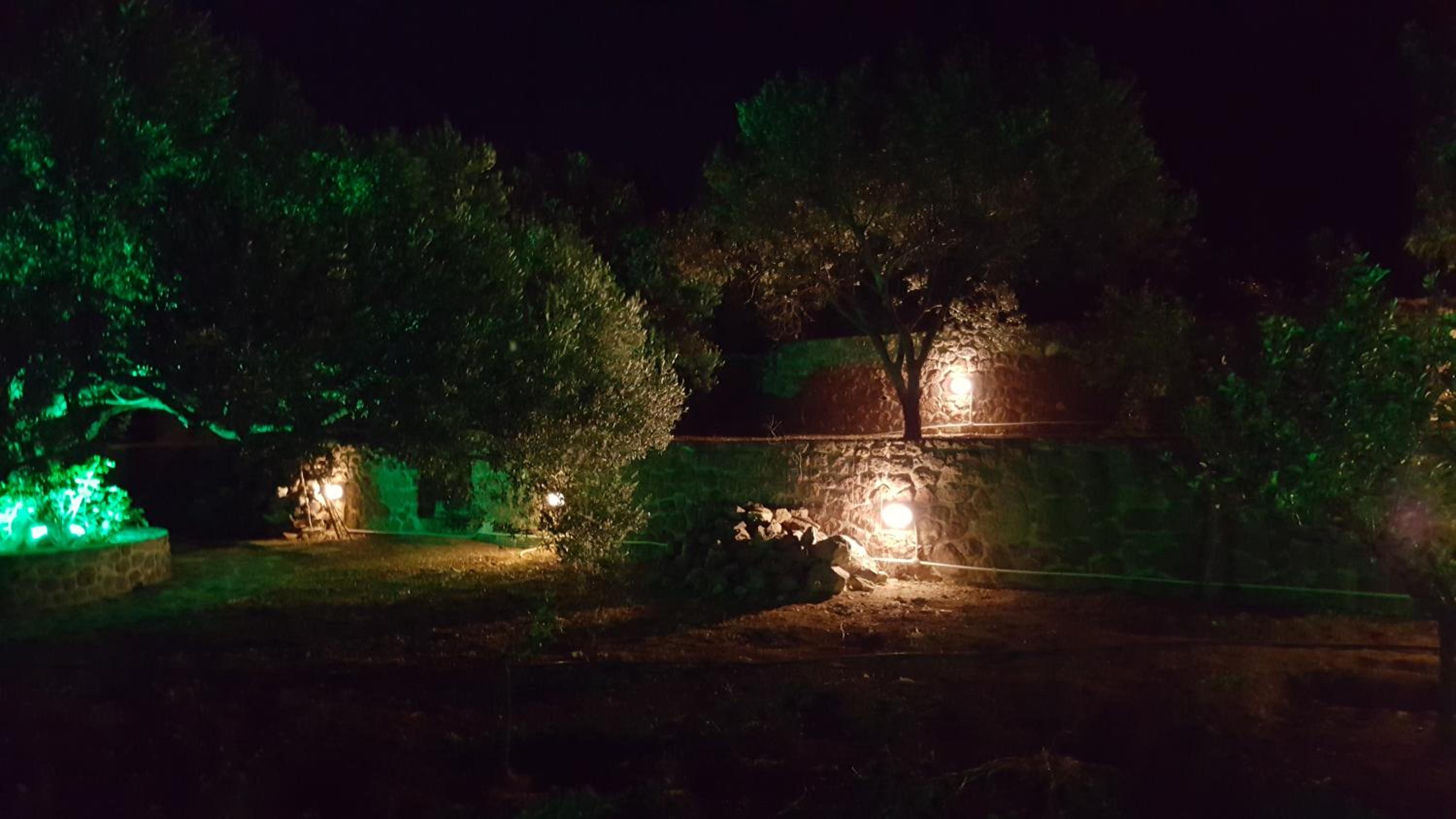 Deluxe Villa photo 3
