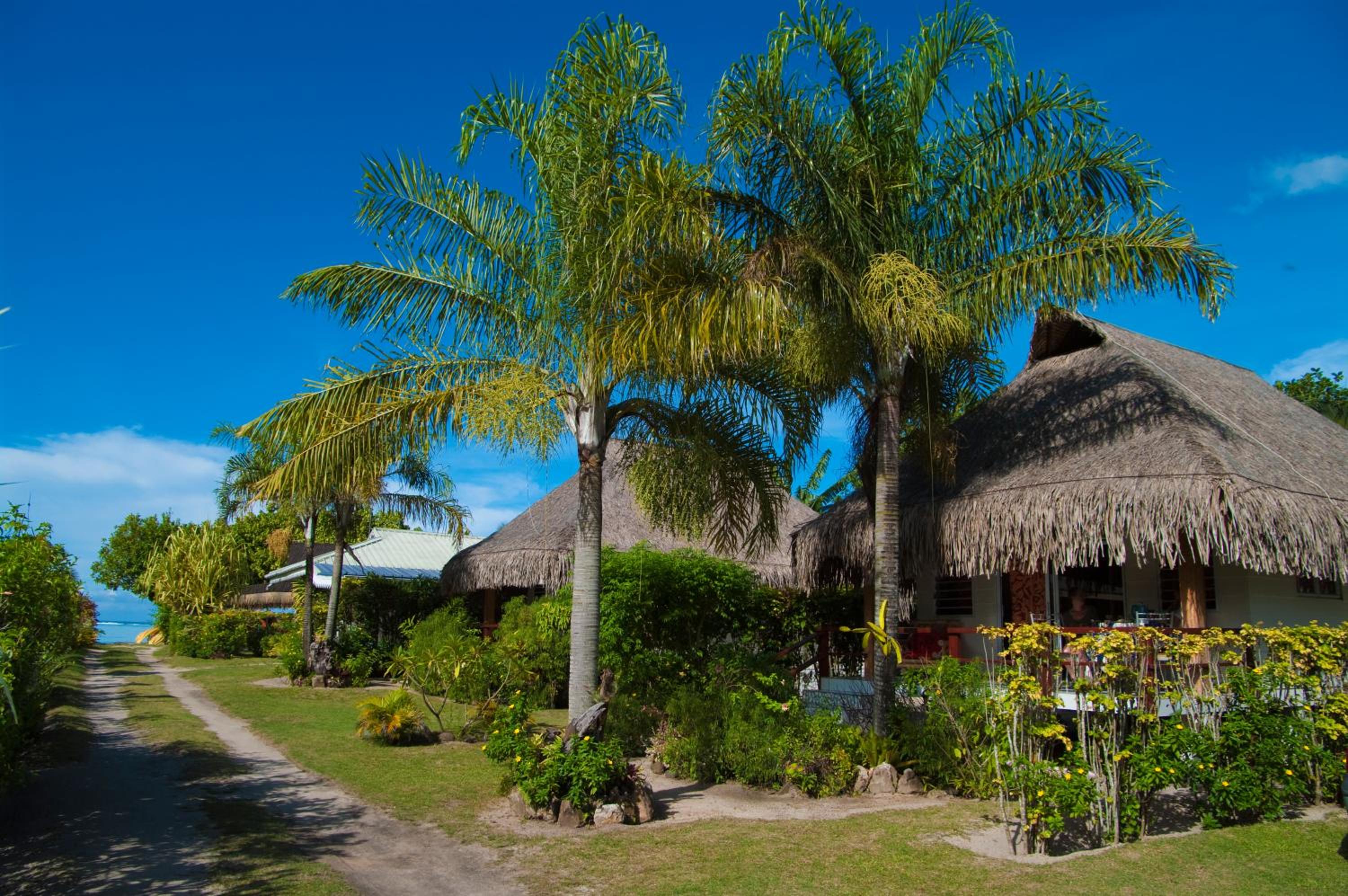 Family Bungalow photo 1