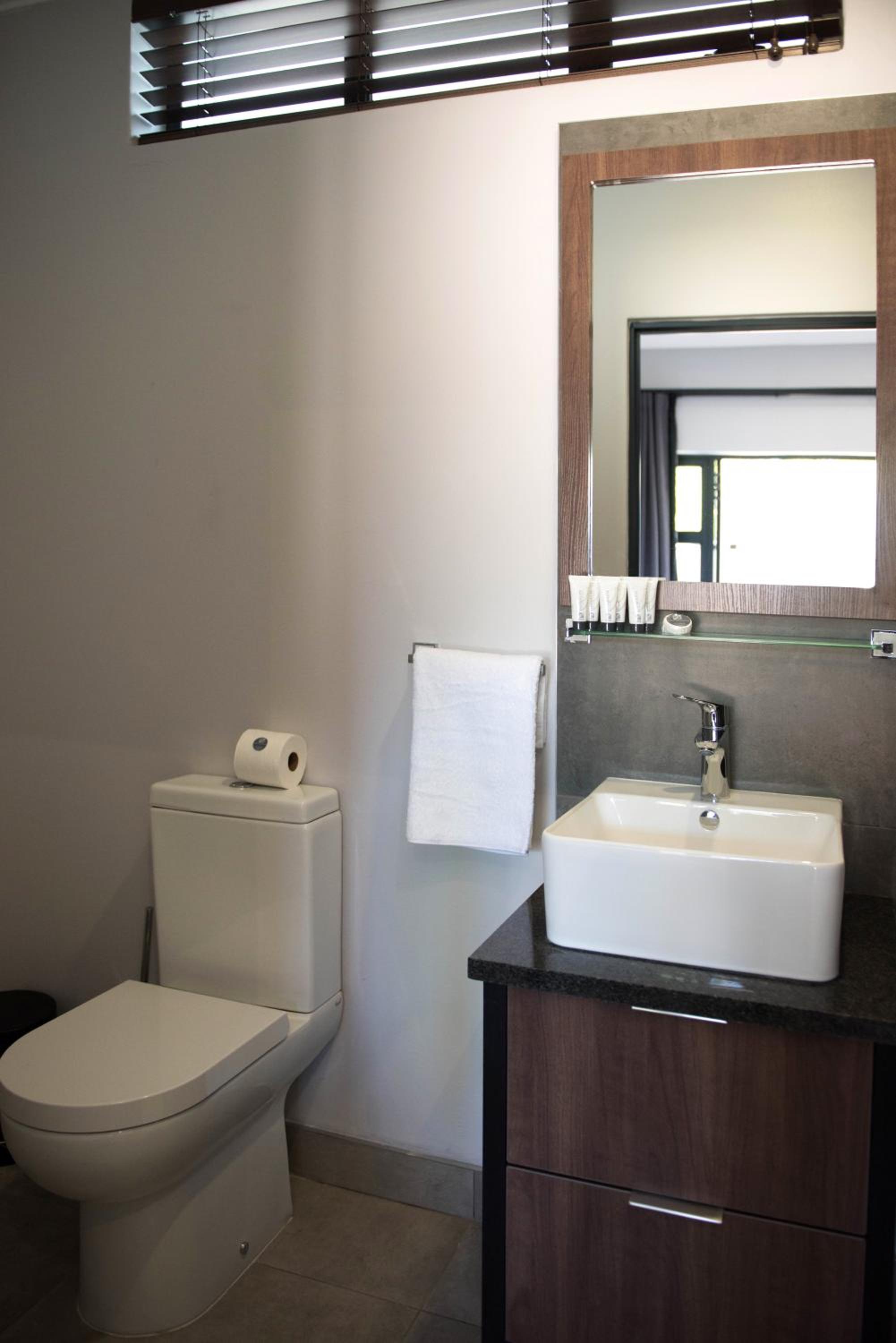 Deluxe Double or Twin Room photo 2