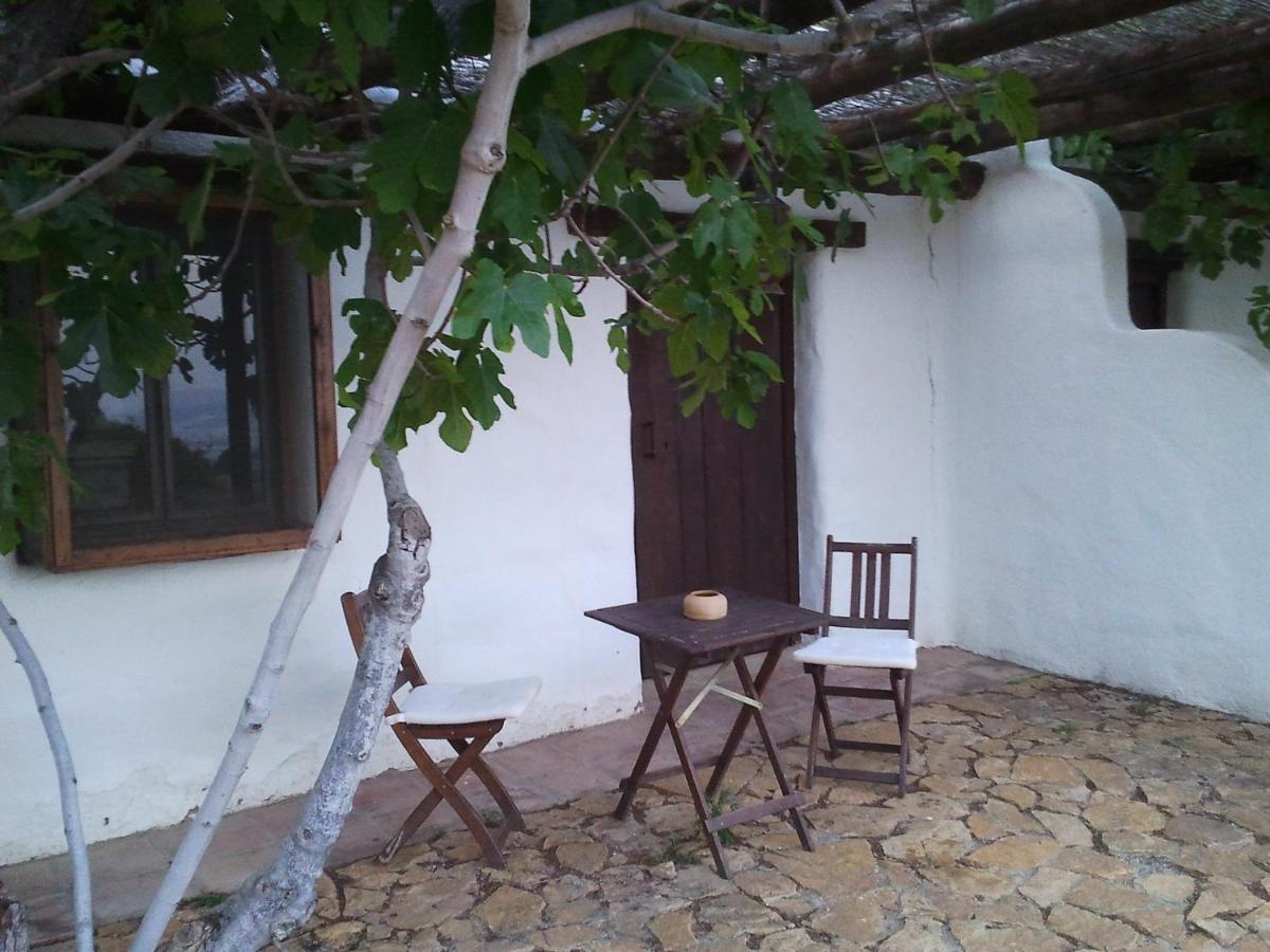 Double Room with Terrace photo 2