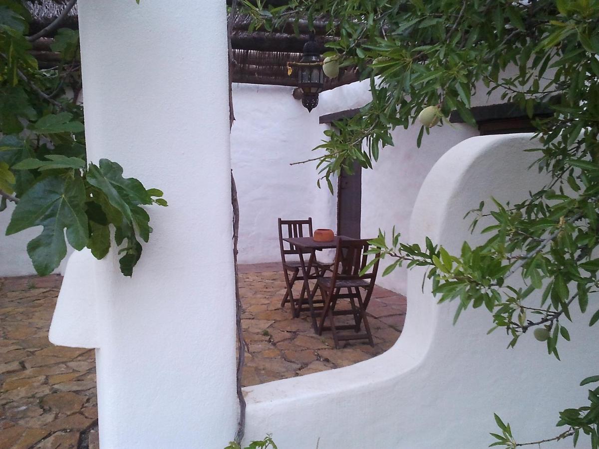 Double Room with Terrace photo 3