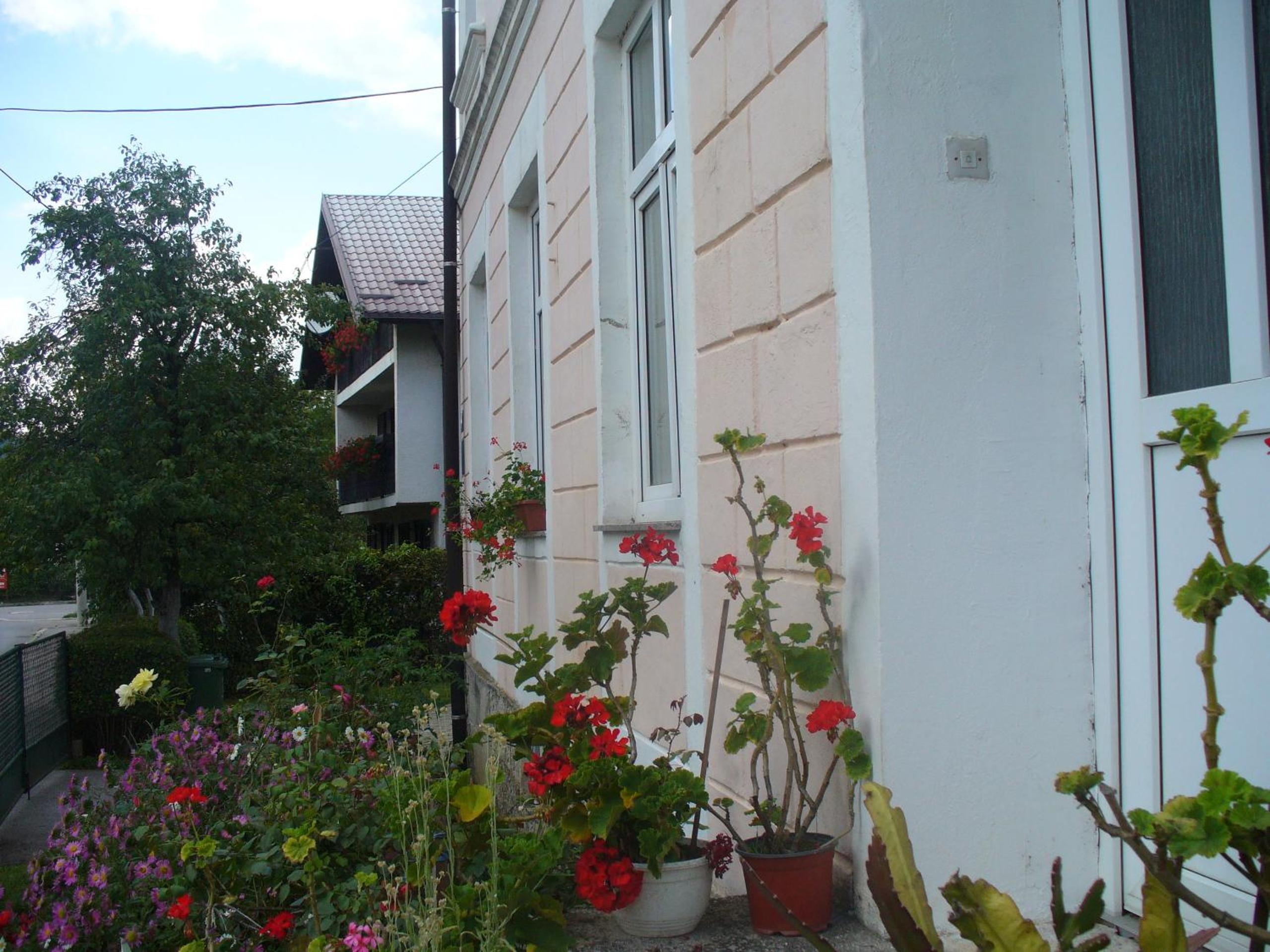 Apartment - Photo 10