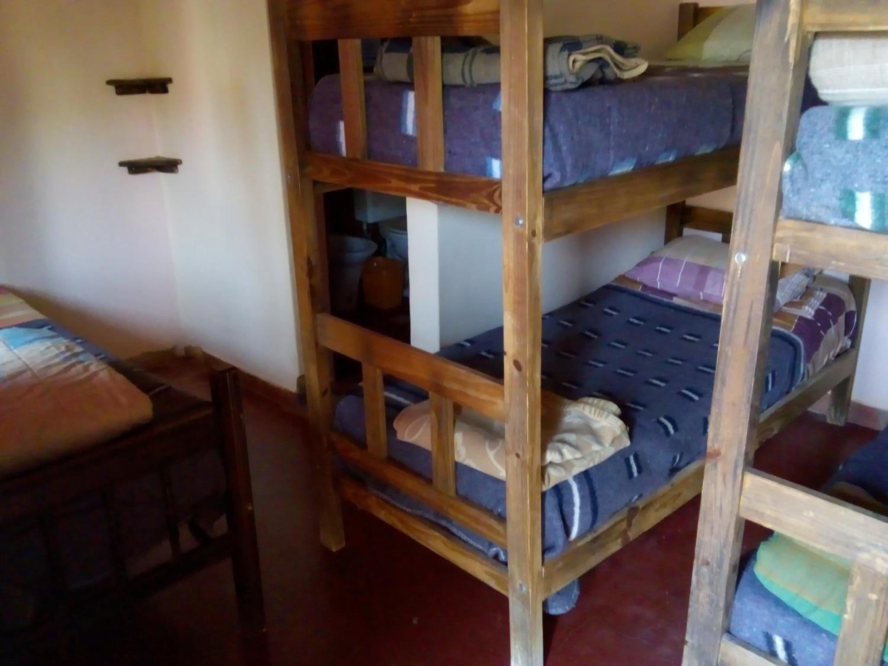 Single Bed in Mixed Dormitory Room photo 1
