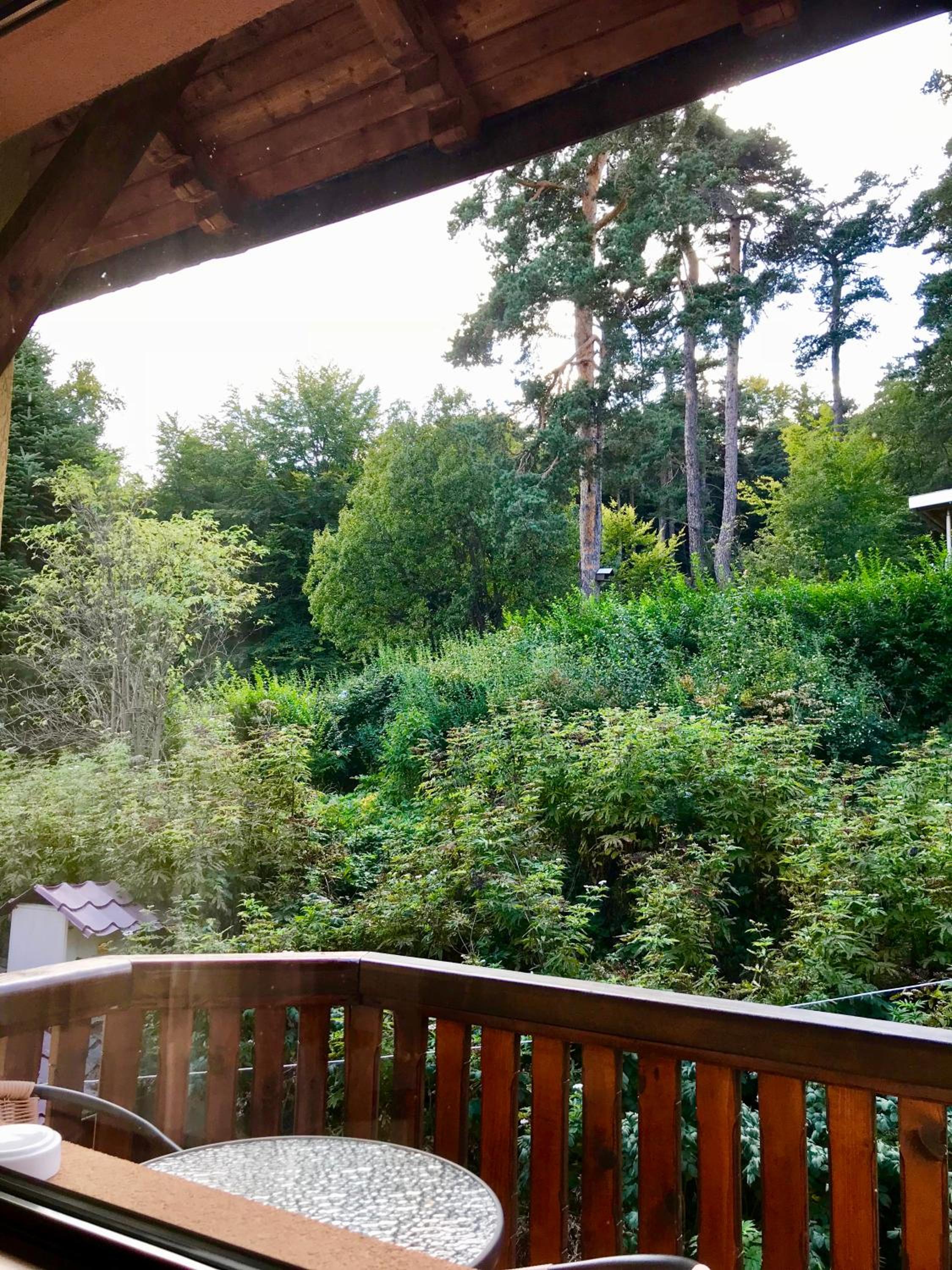 Apartment with Mountain View - Photo 2