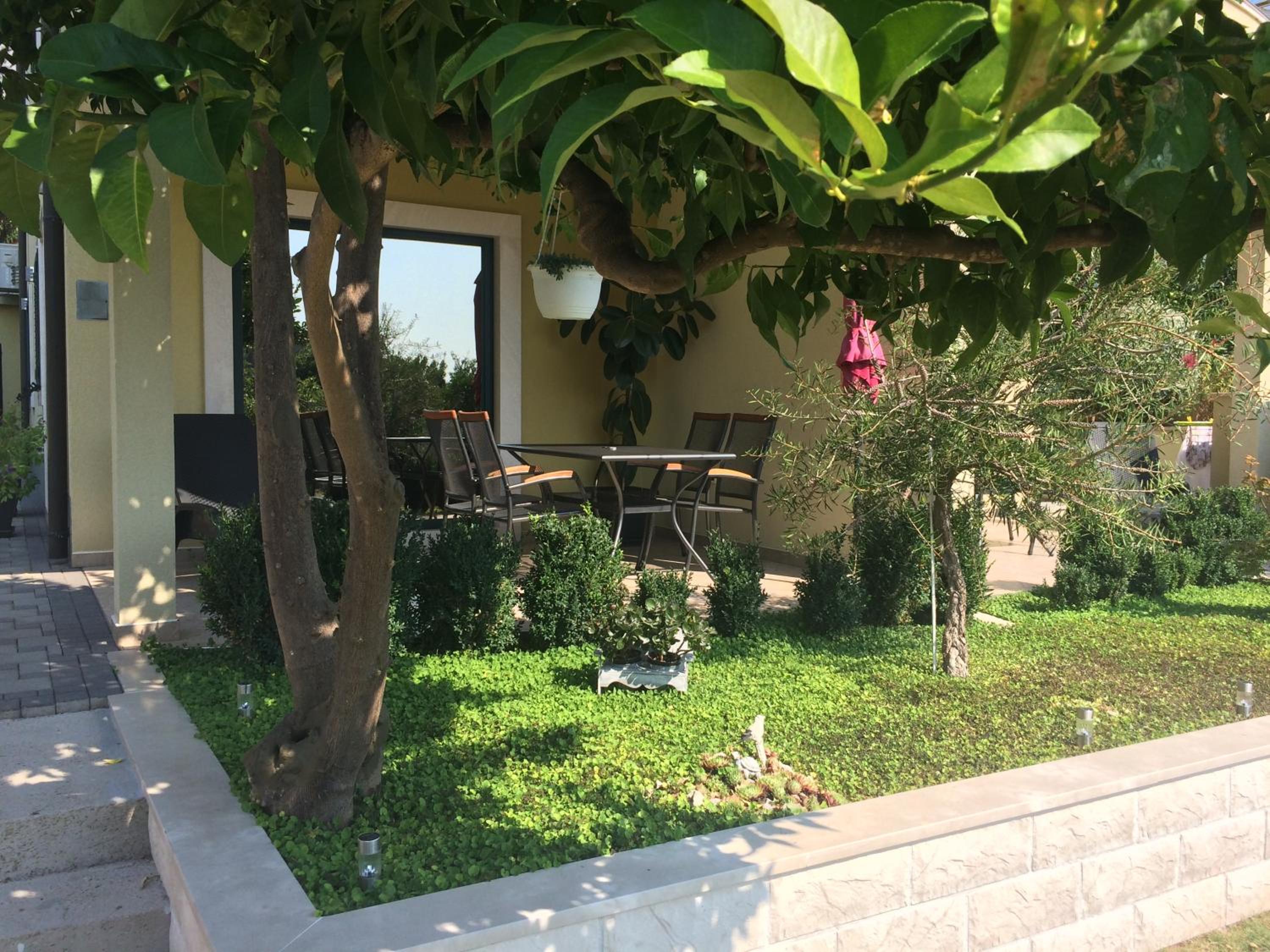 Apartment with Terrace photo 1