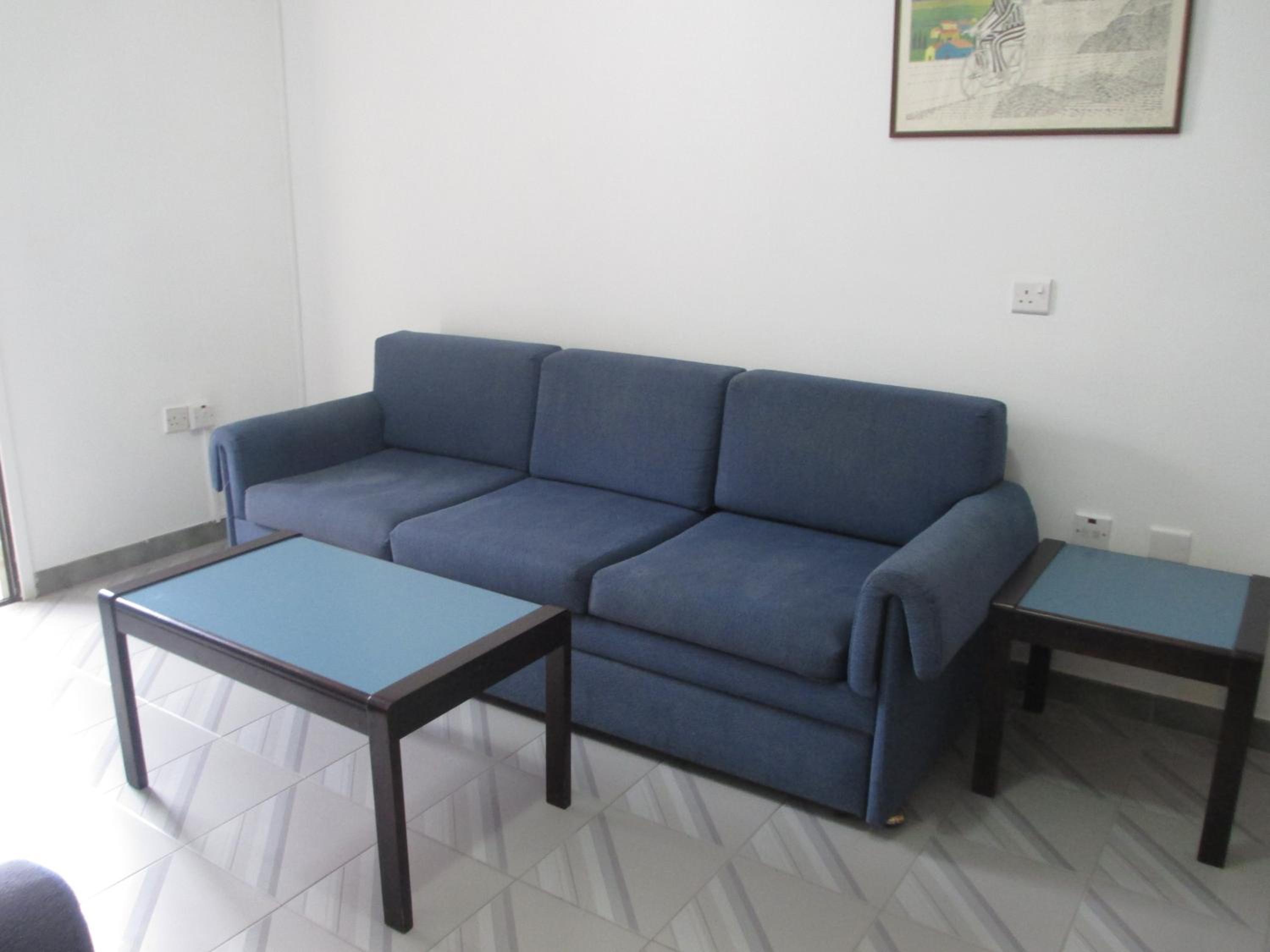 One-Bedroom Apartment photo 3