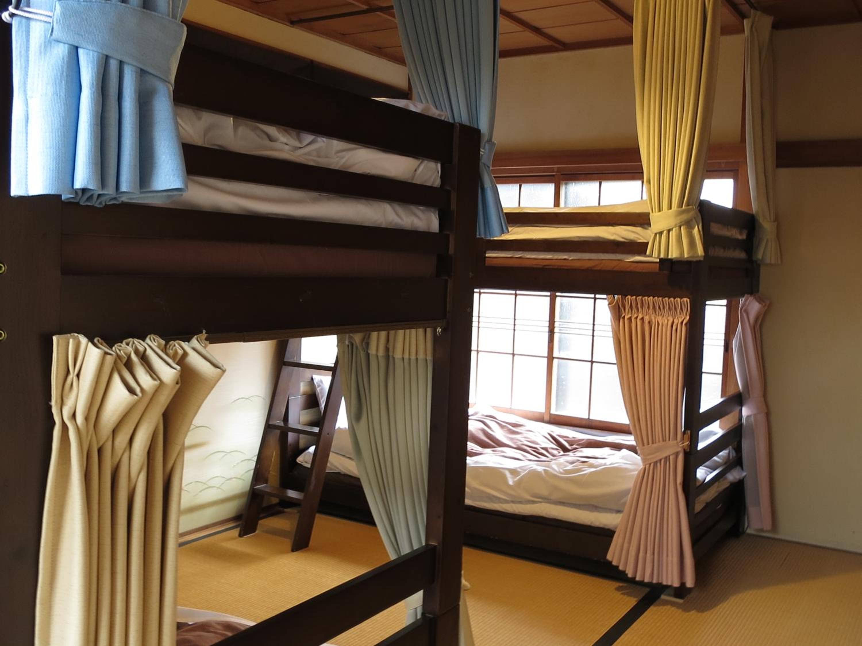 Bunk Bed in Mixed Dormitory Room