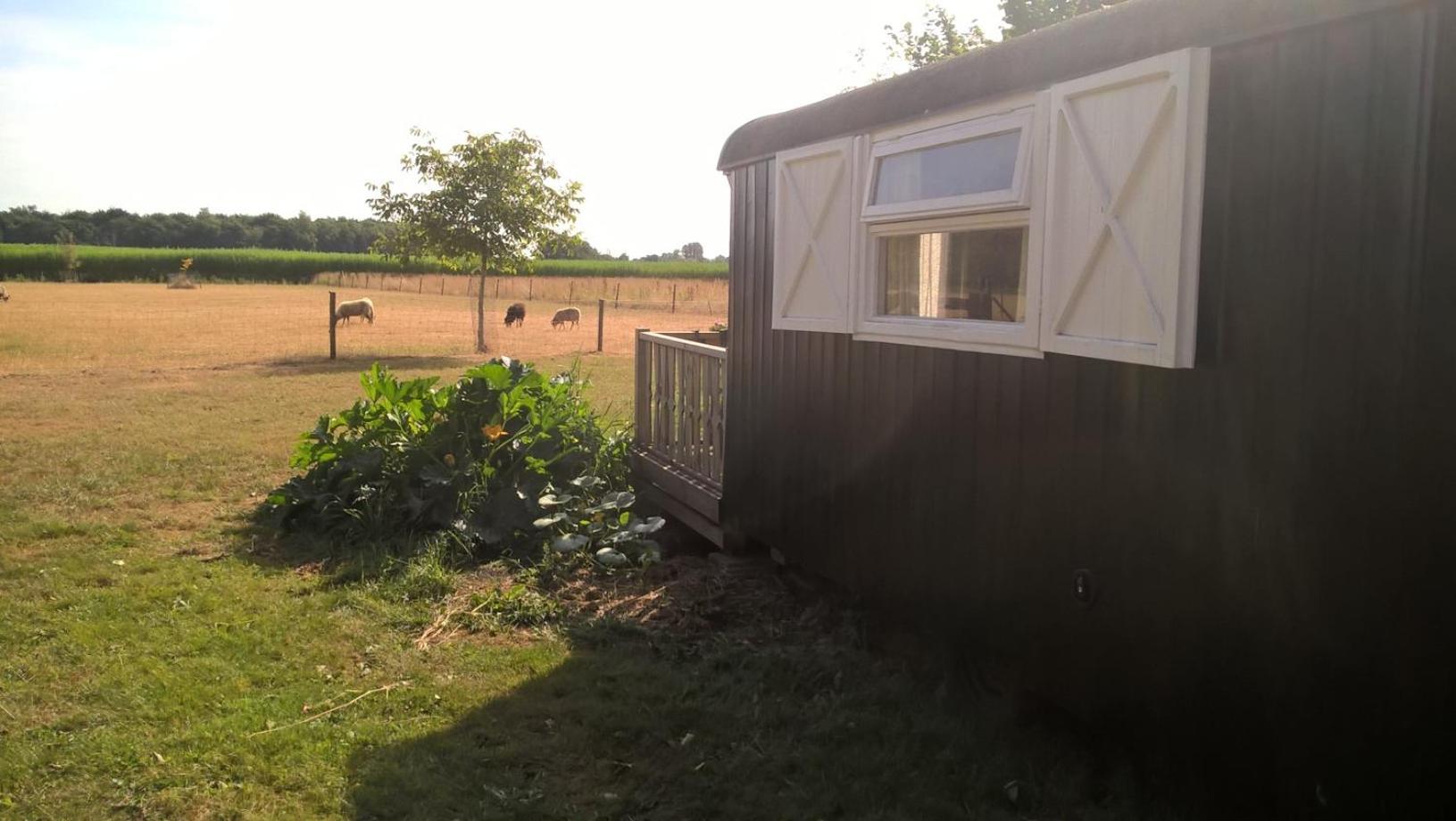 Deluxe Double or Twin Room with Garden View photo 3
