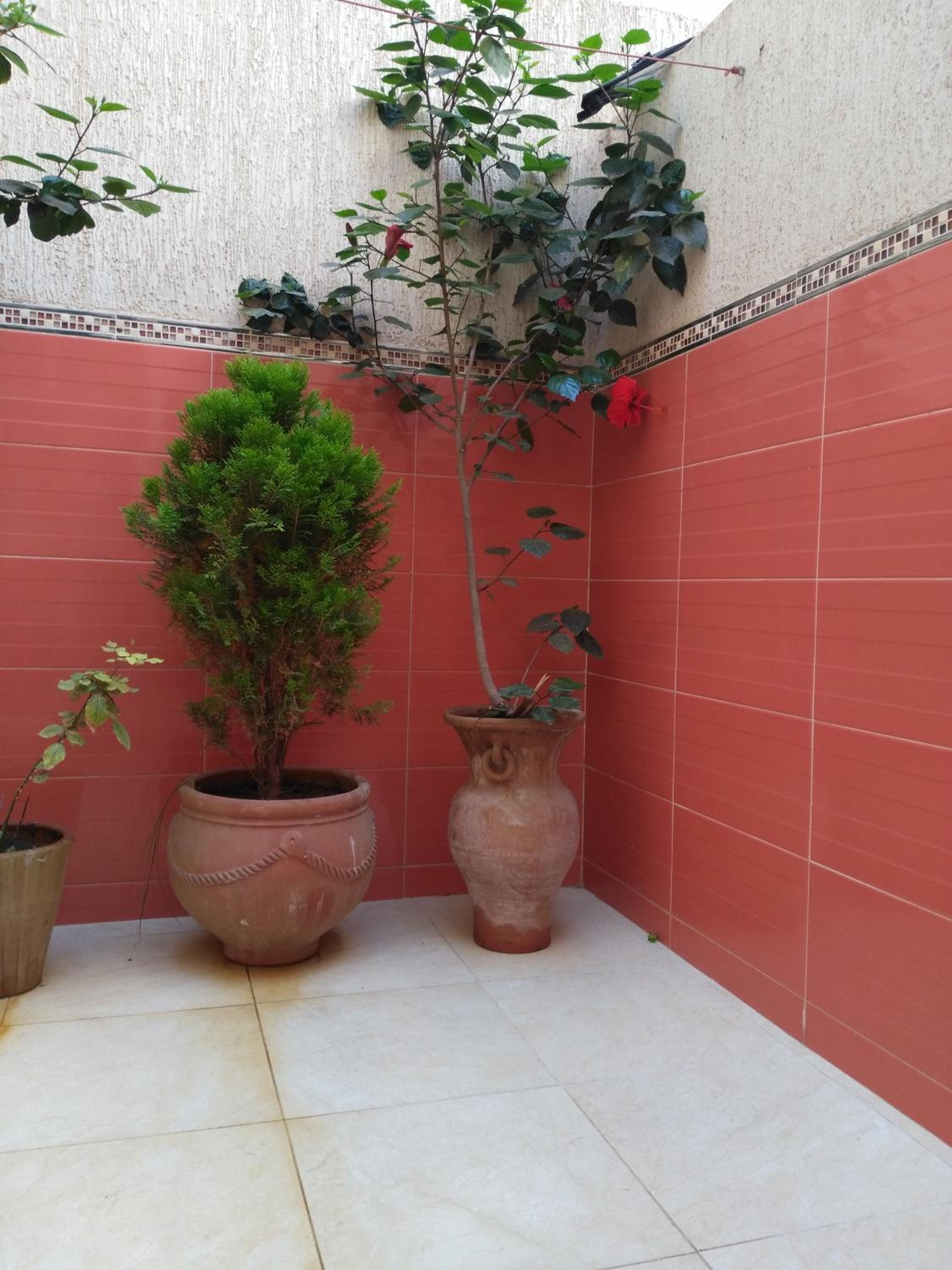 Apartment - Ground Floor - Photo 24
