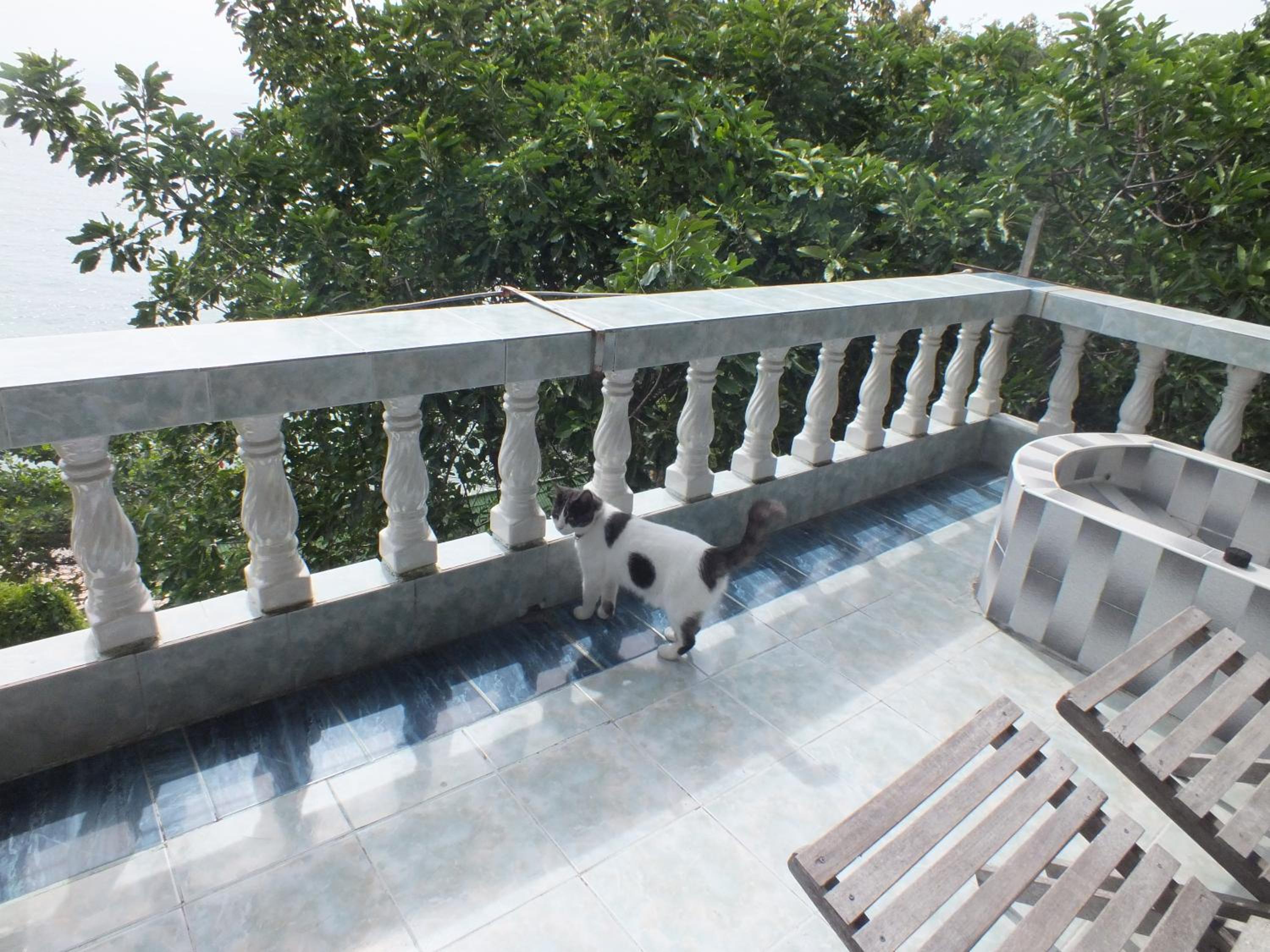 Double Room with Fan Balcony and Sea View photo 3