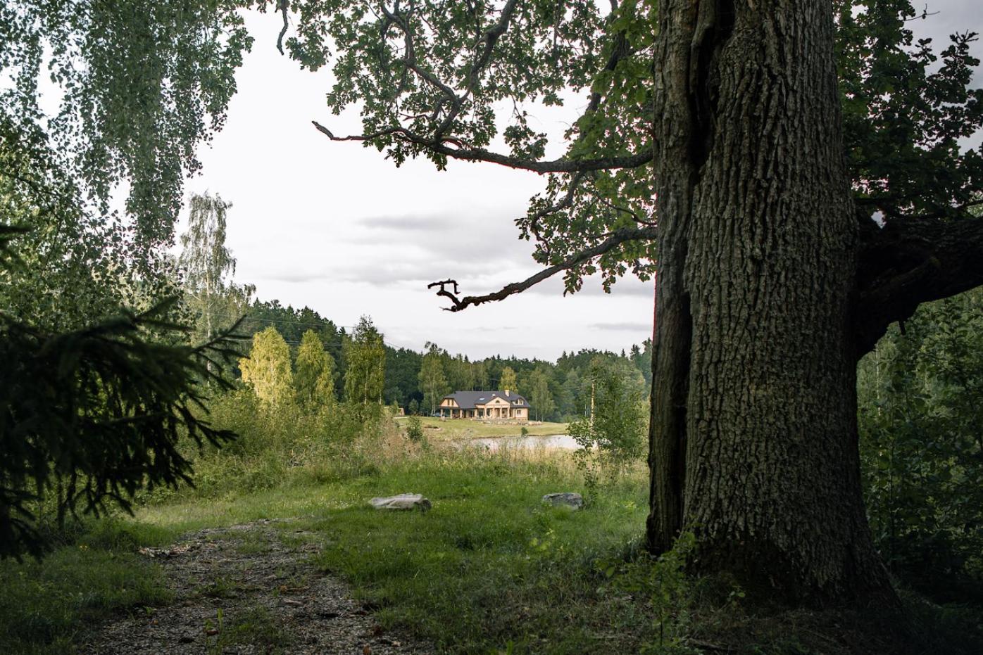 Deluxe Villa - Photo 17