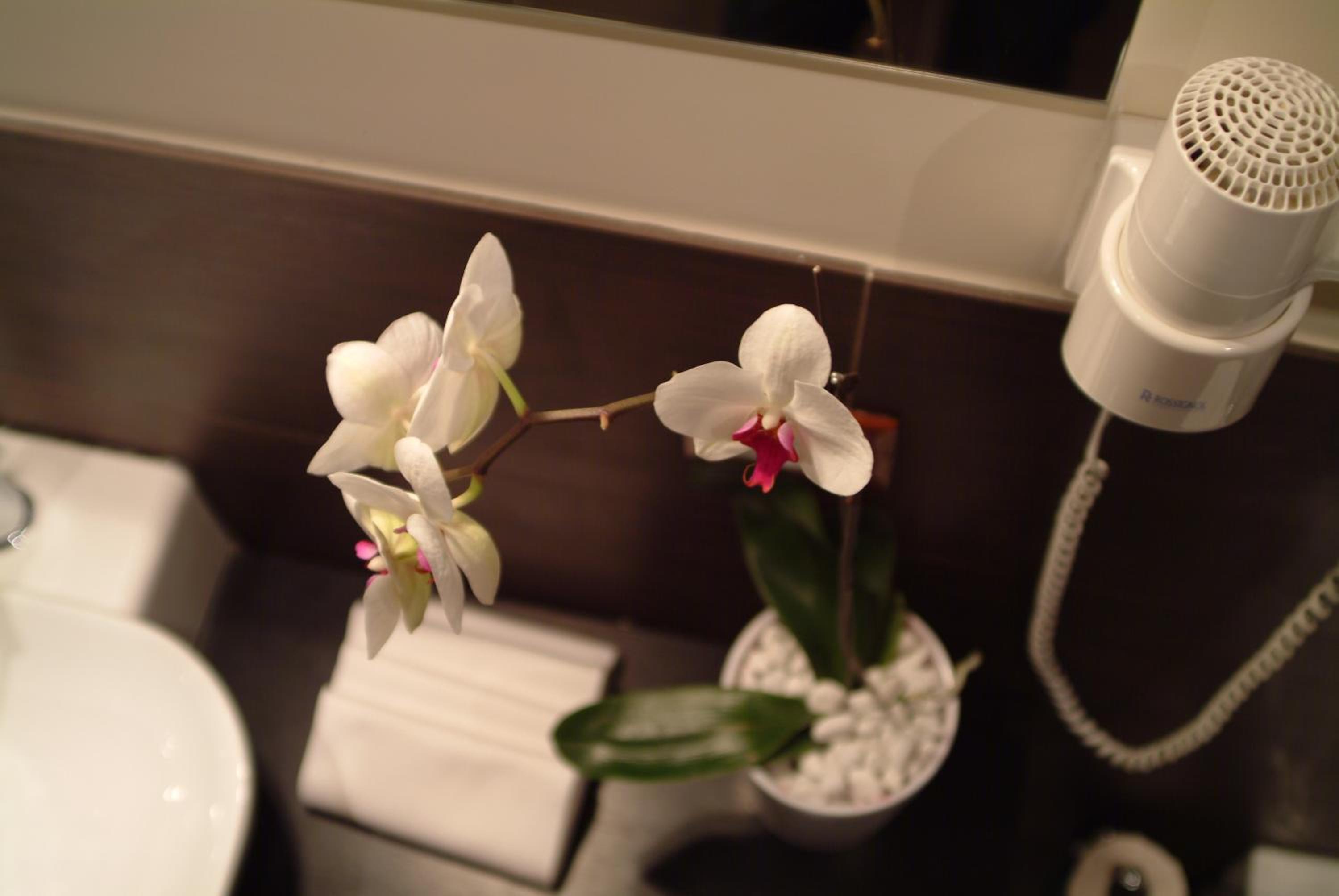 Standard Double Room - Photo 3