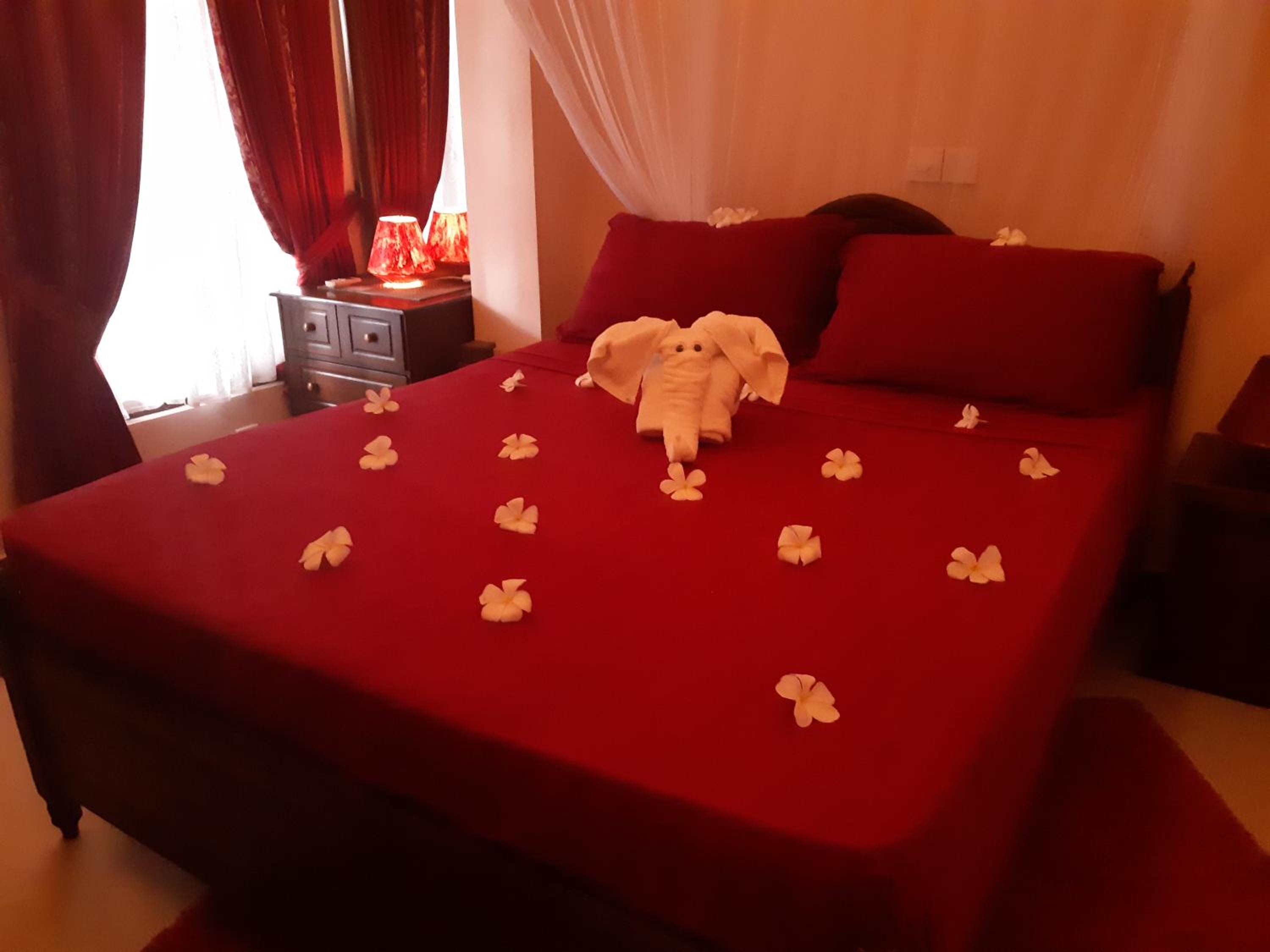 Budget Single Room photo 1