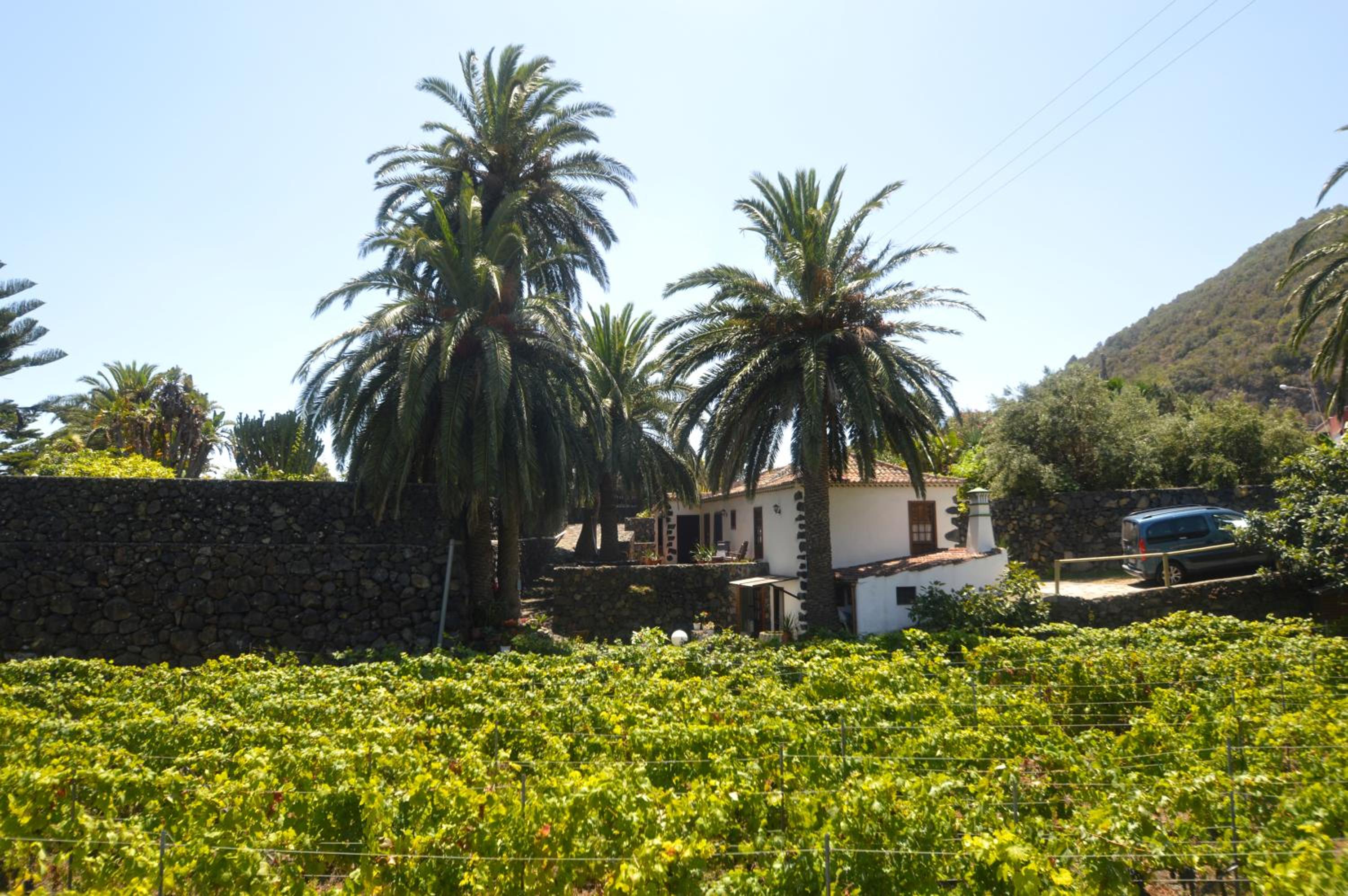 Villa with Garden View photo 3