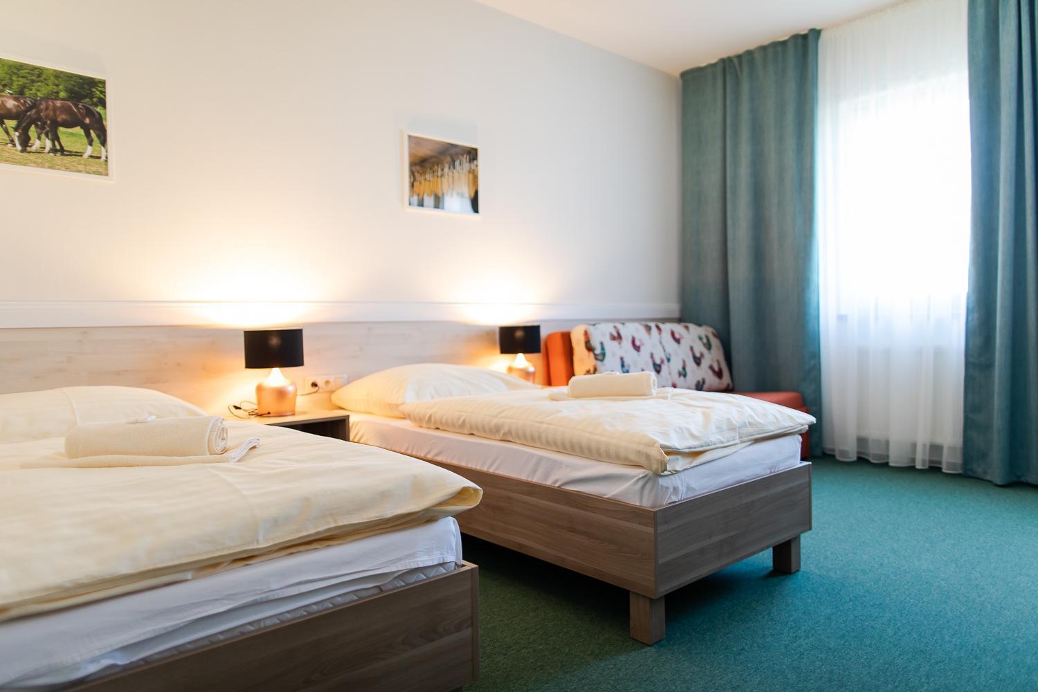 Double or Twin Room - Photo 10